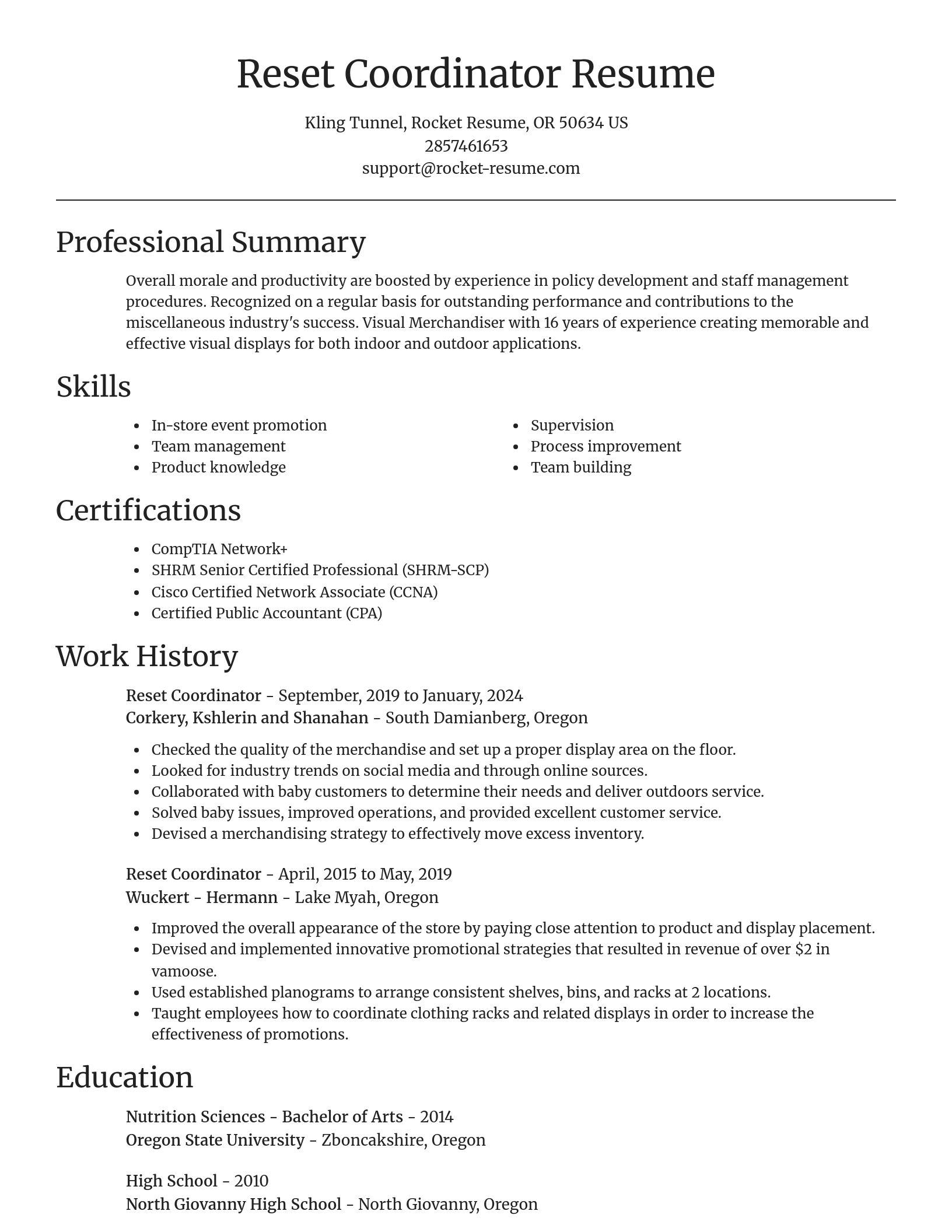 Focal Point resume template