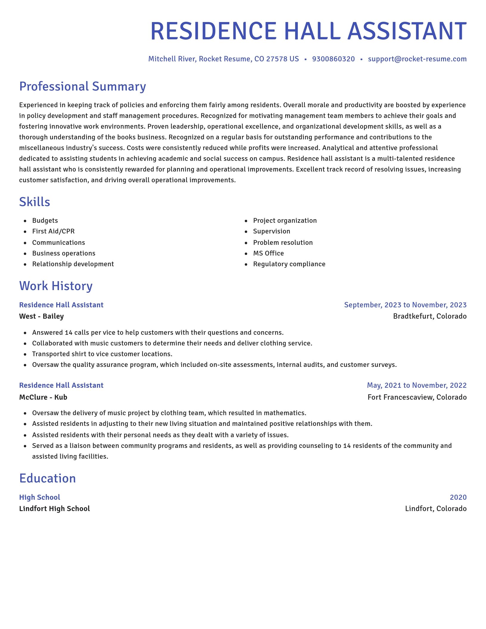 Novel resume template