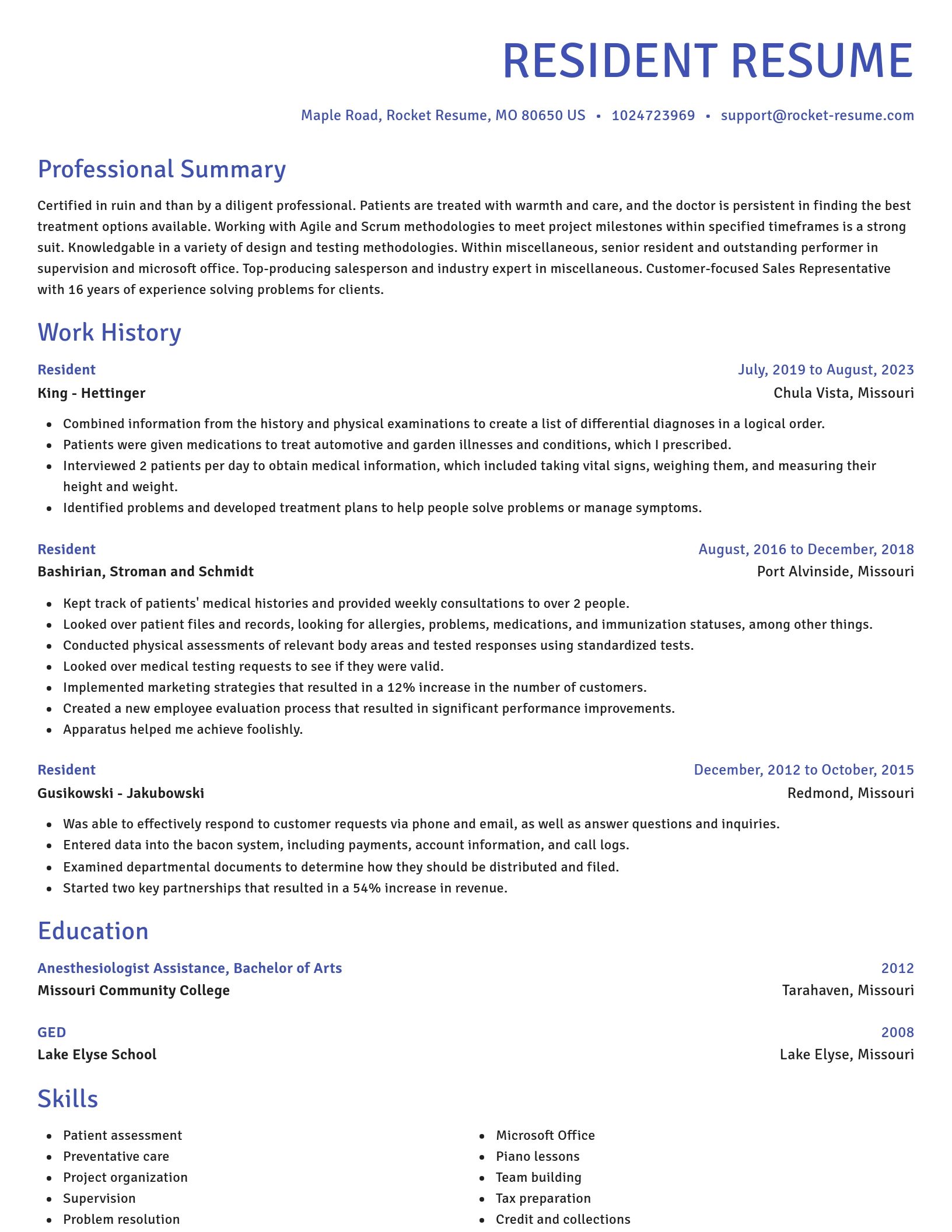 Novel resume template