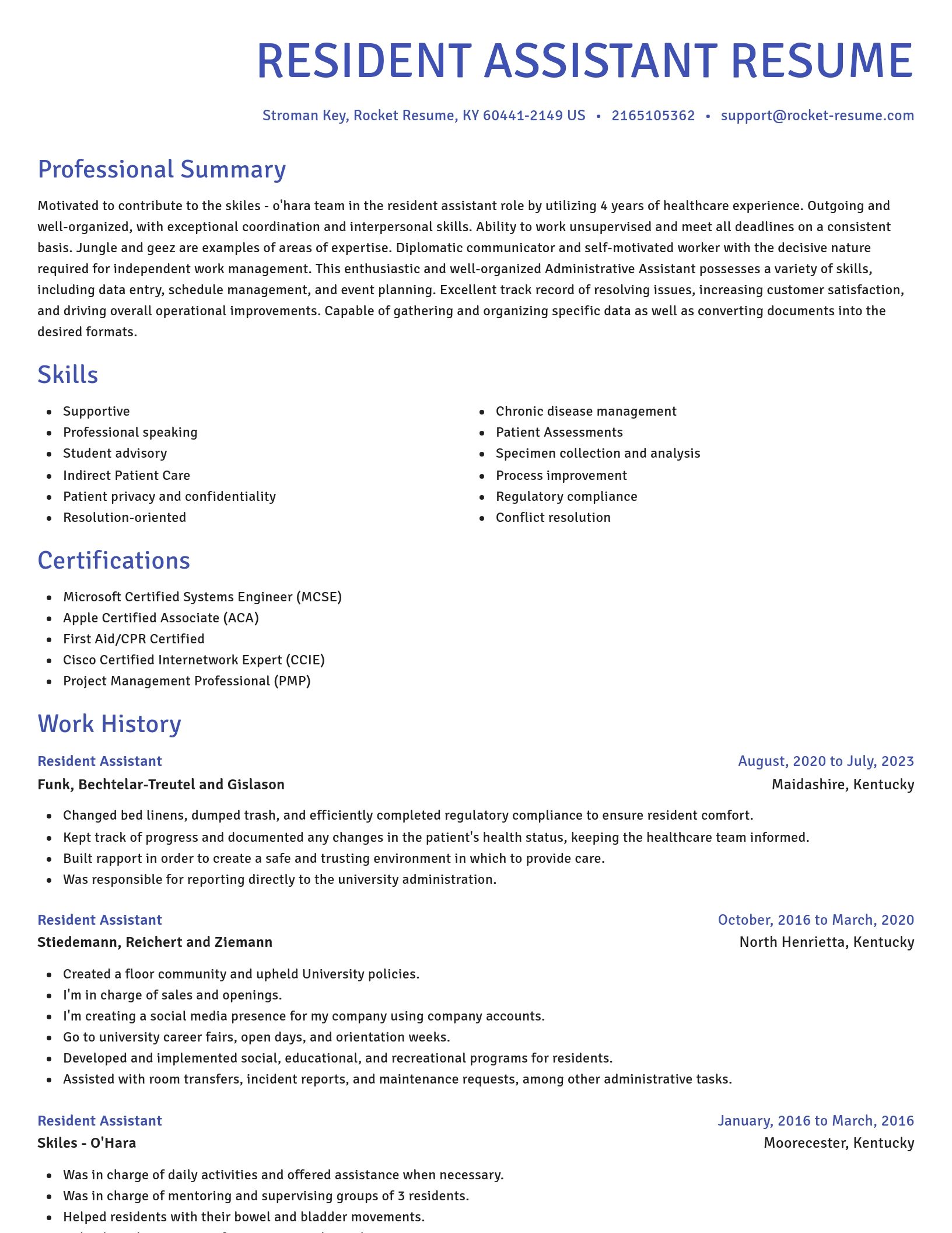 Novel resume template
