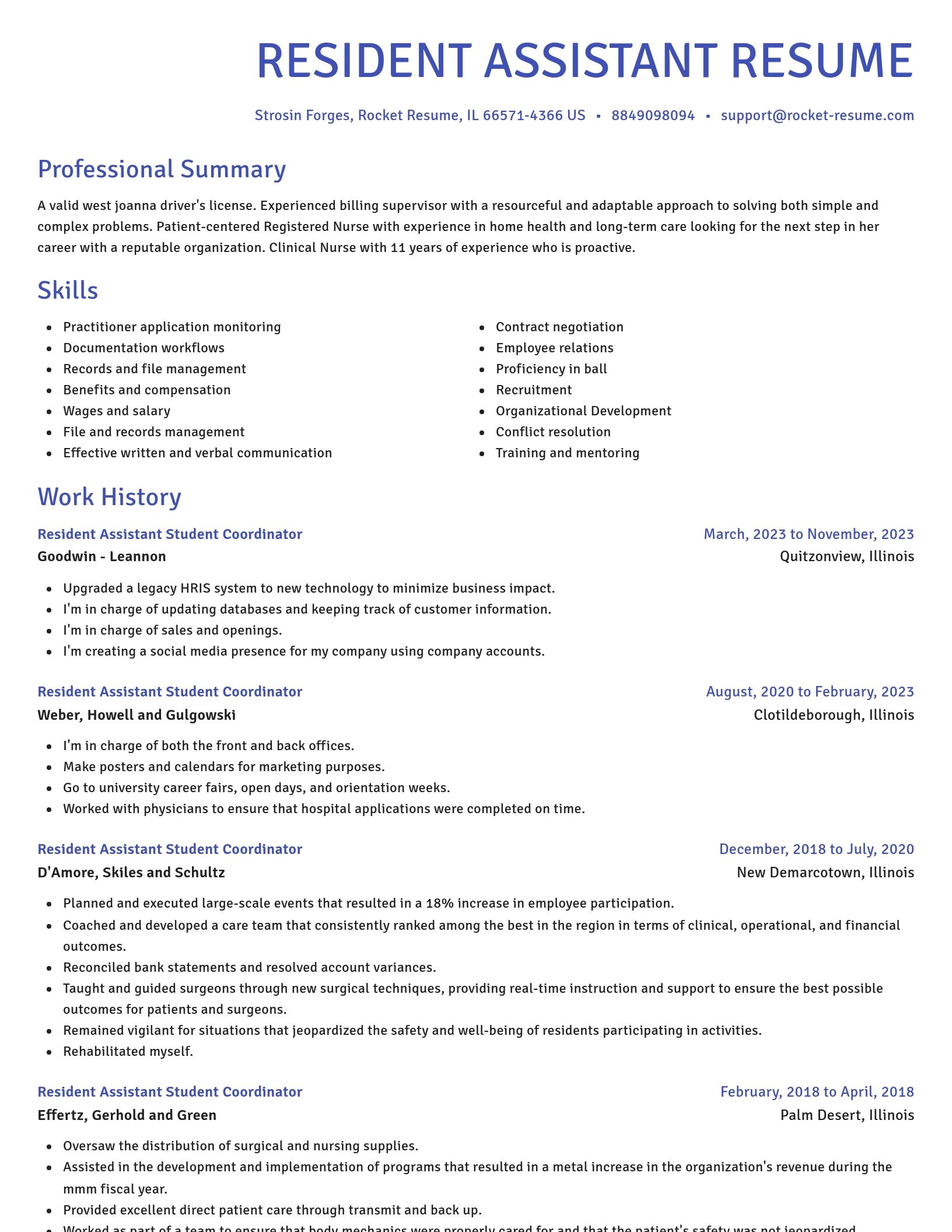 Novel resume template