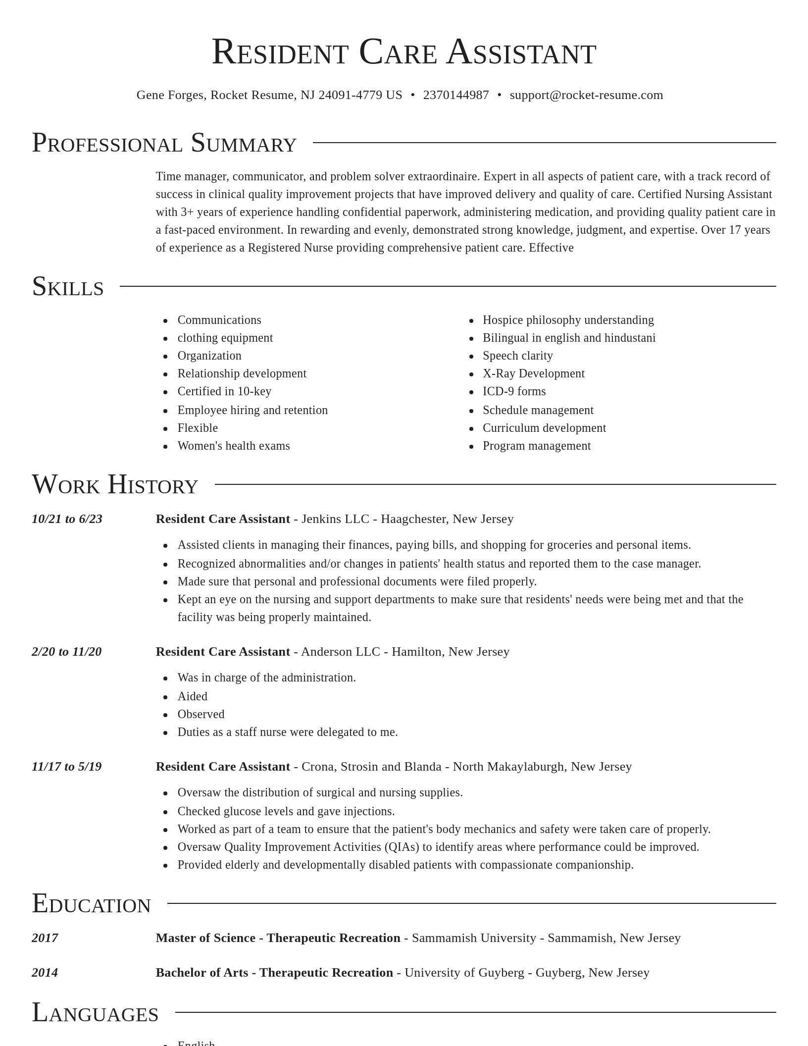 Director resume template