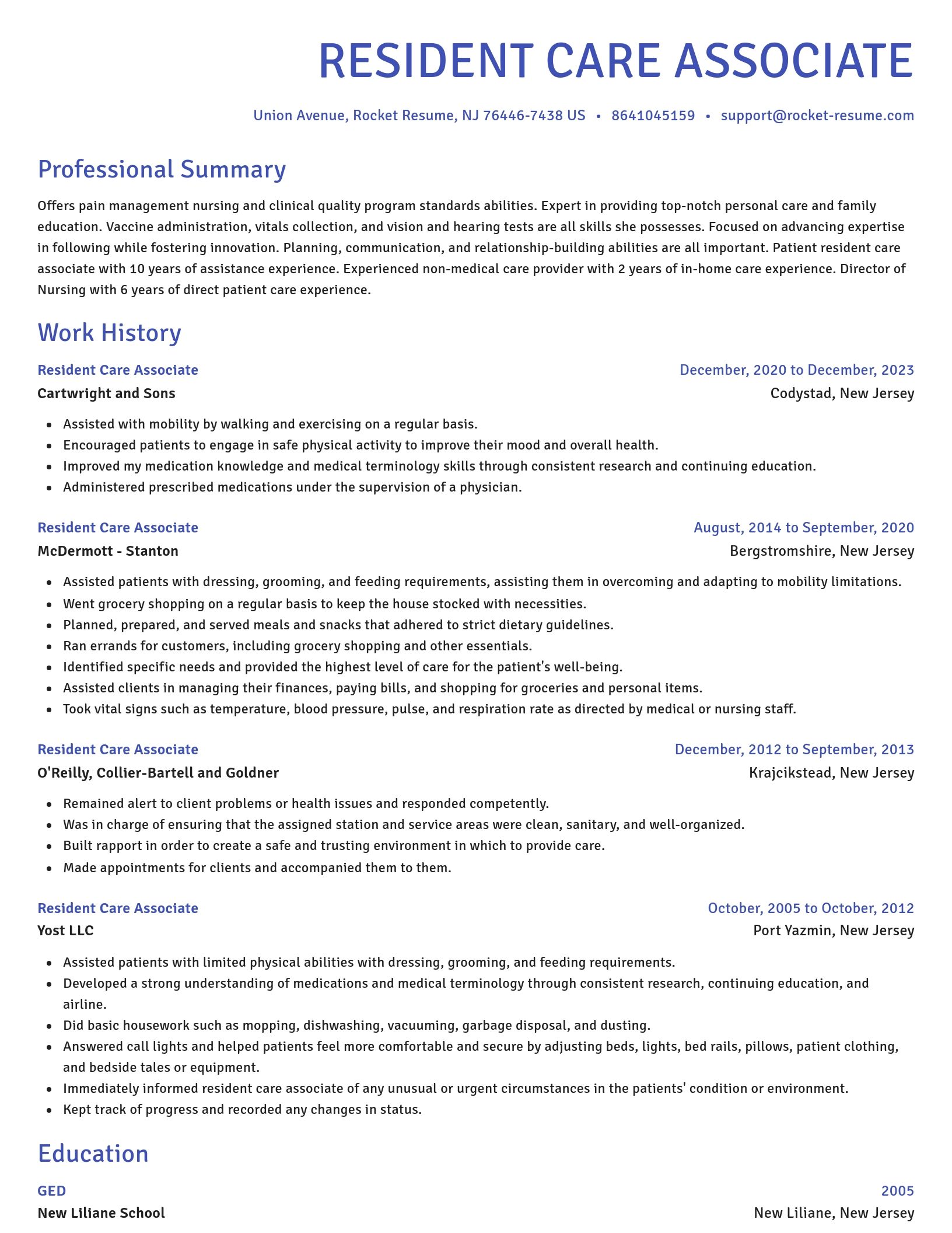 Novel resume template