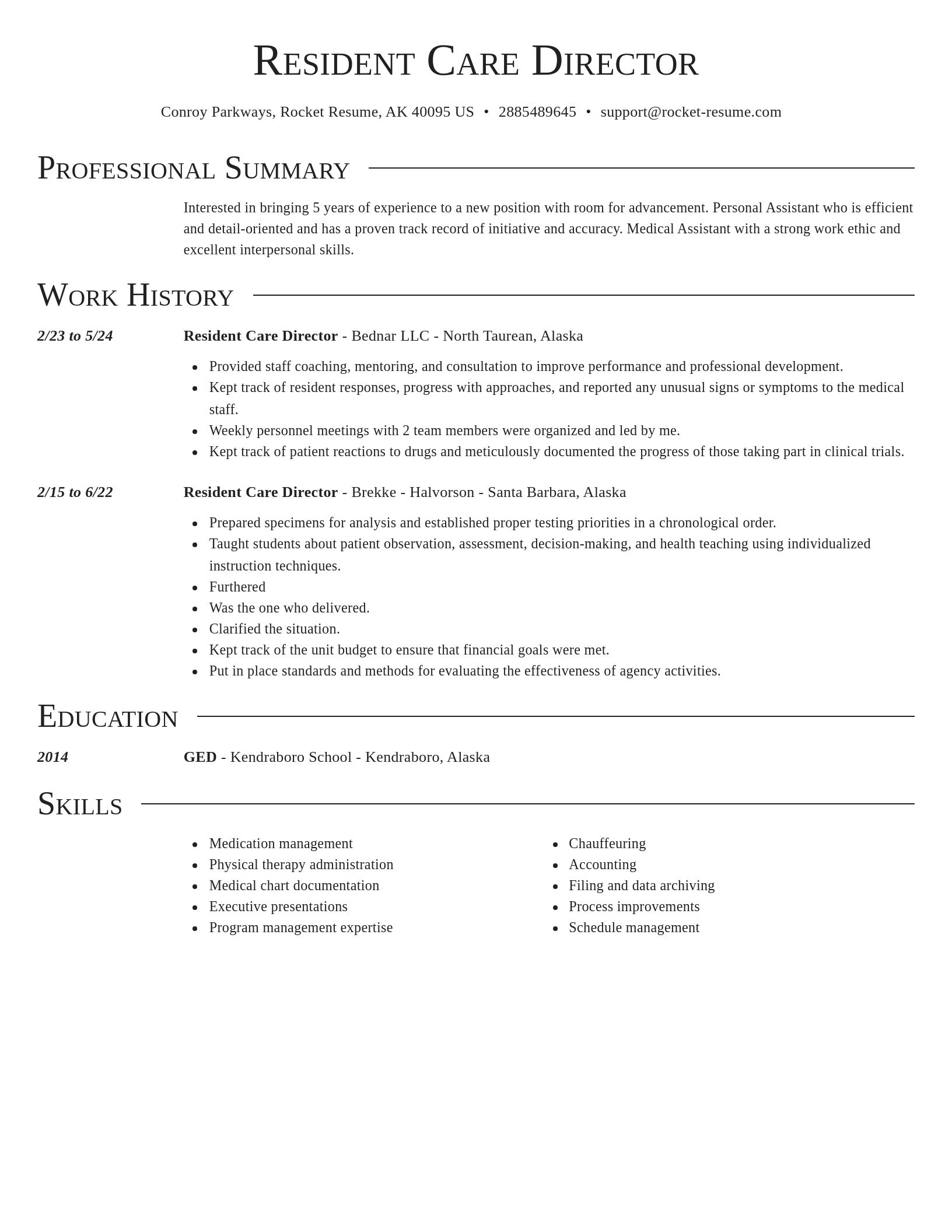 Director resume template
