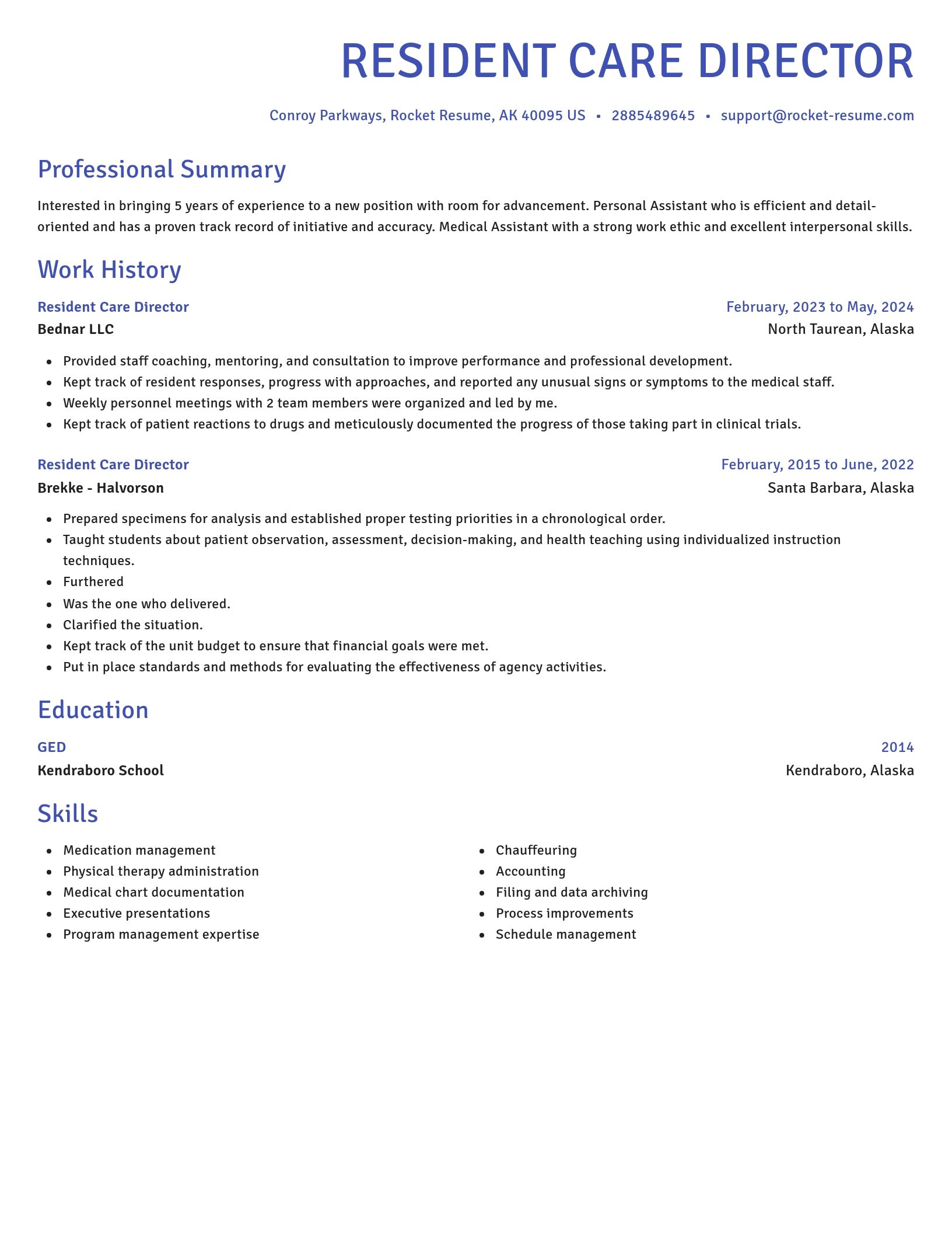 Novel resume template