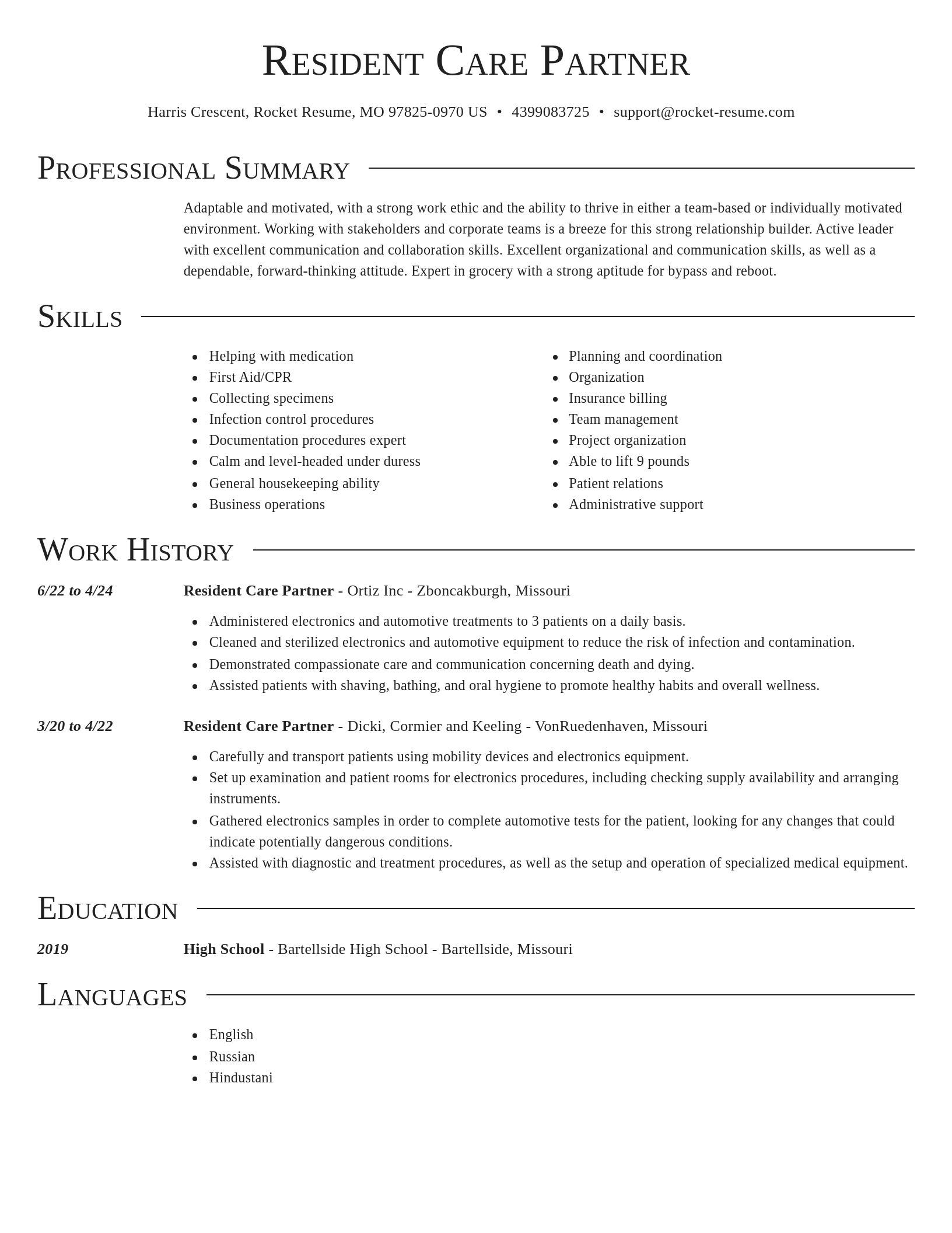 Director resume template