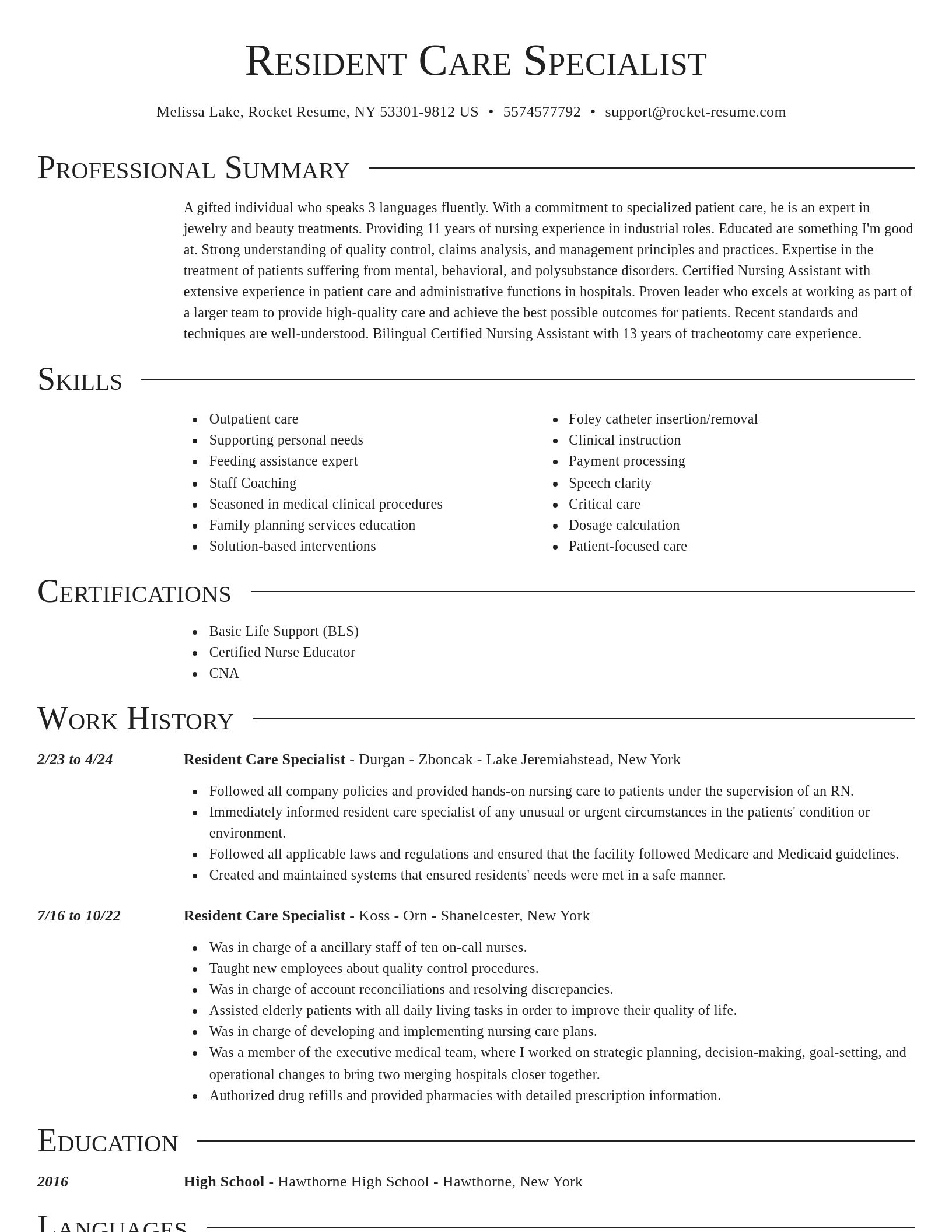Director resume template