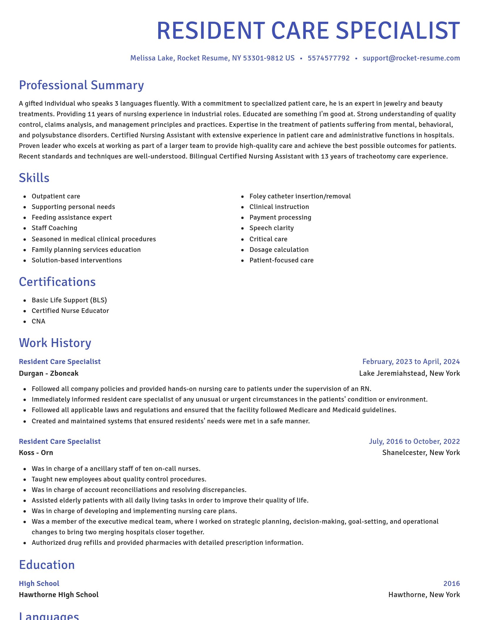 Novel resume template