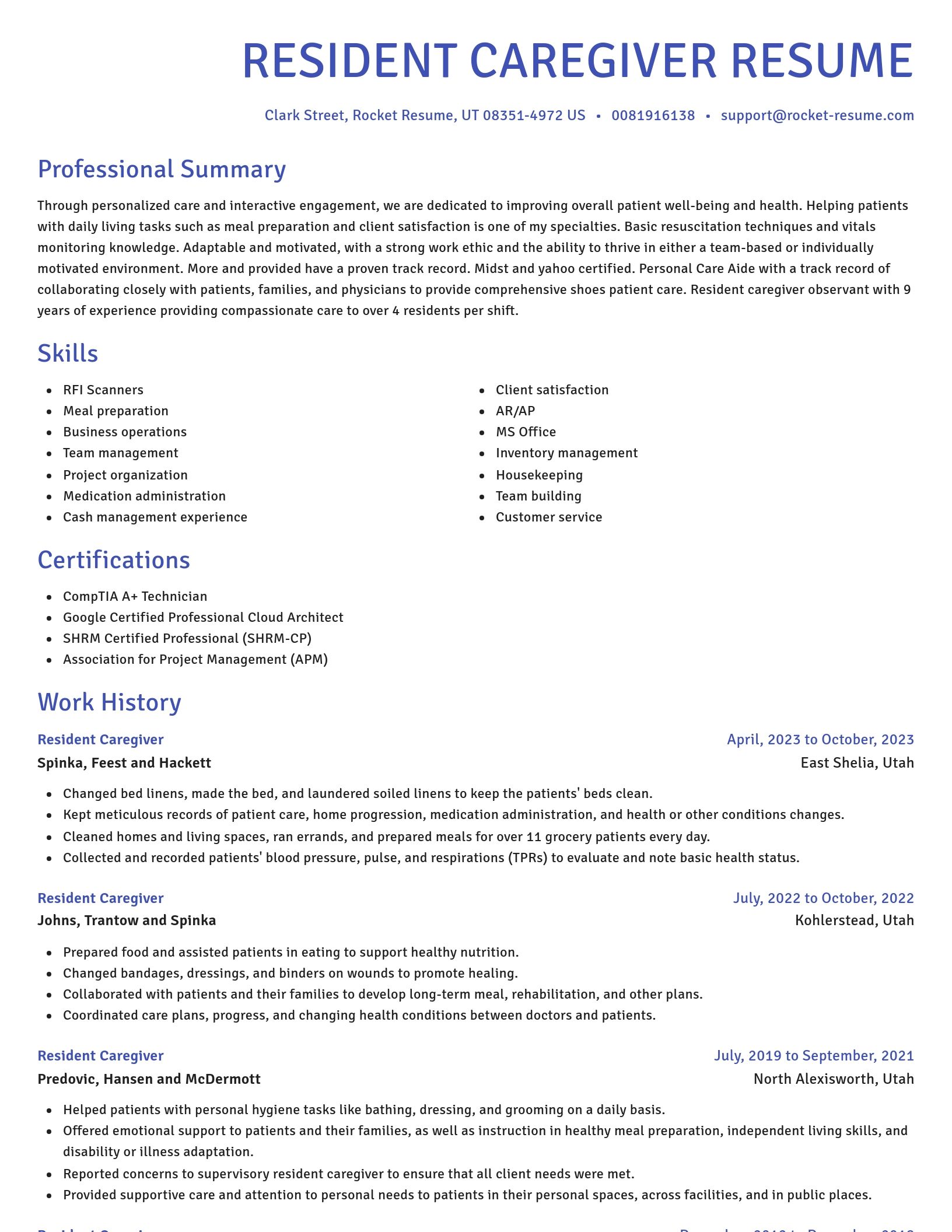 Novel resume template