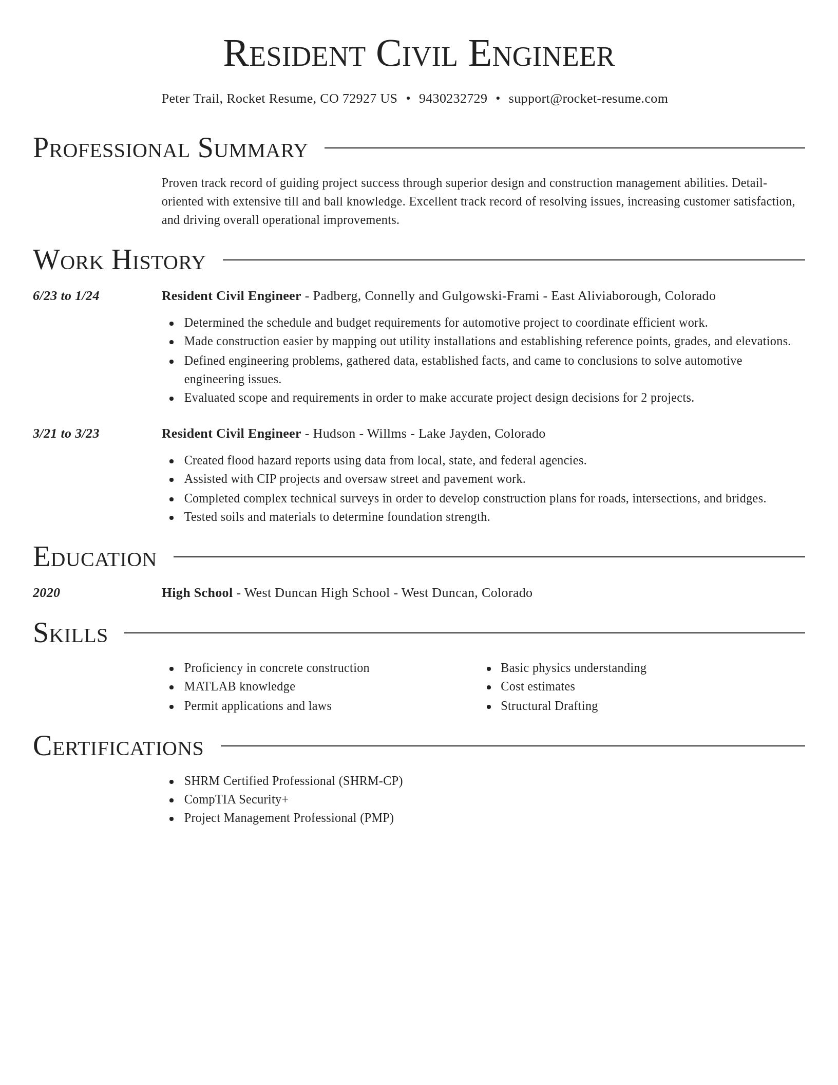 Director resume template
