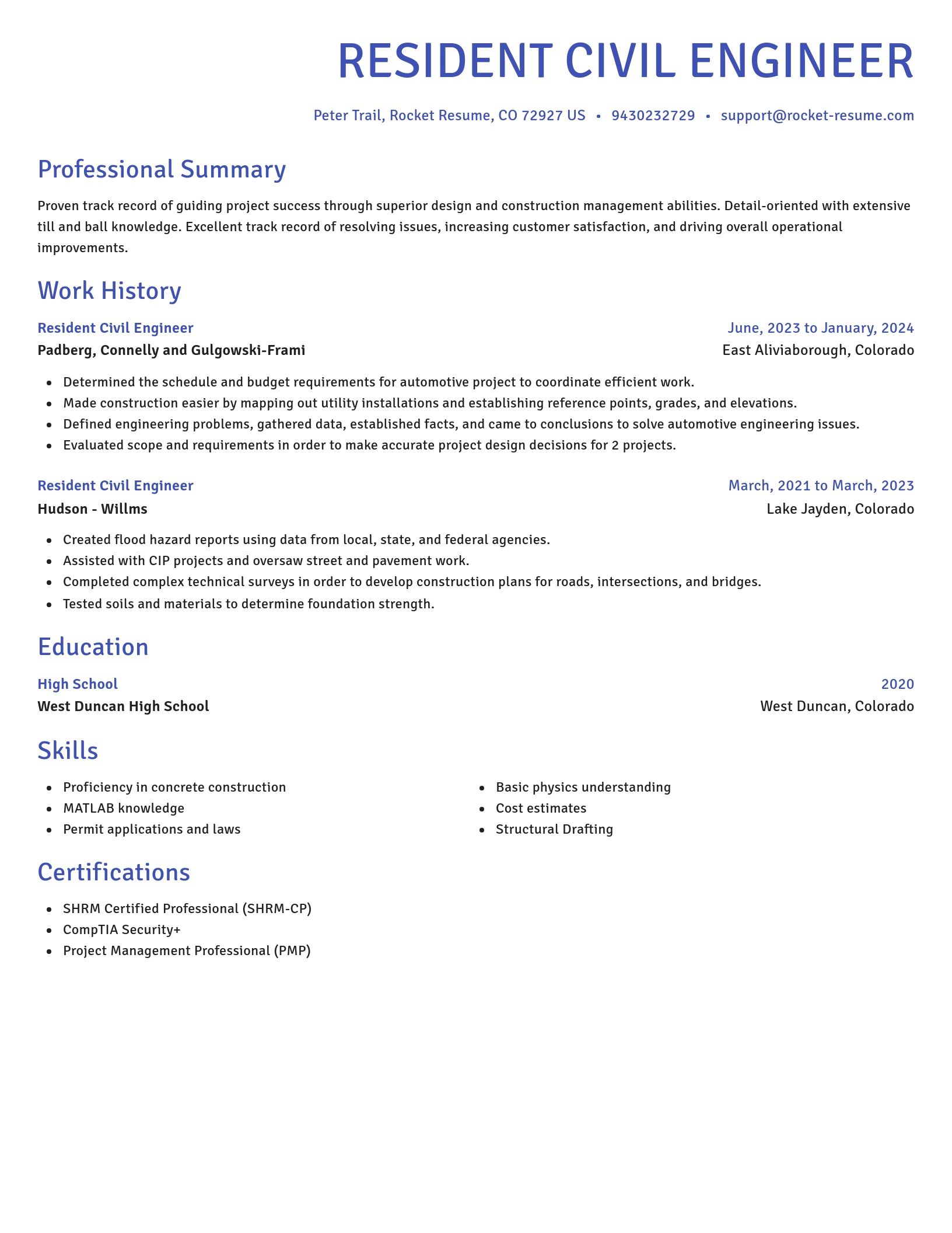 Novel resume template