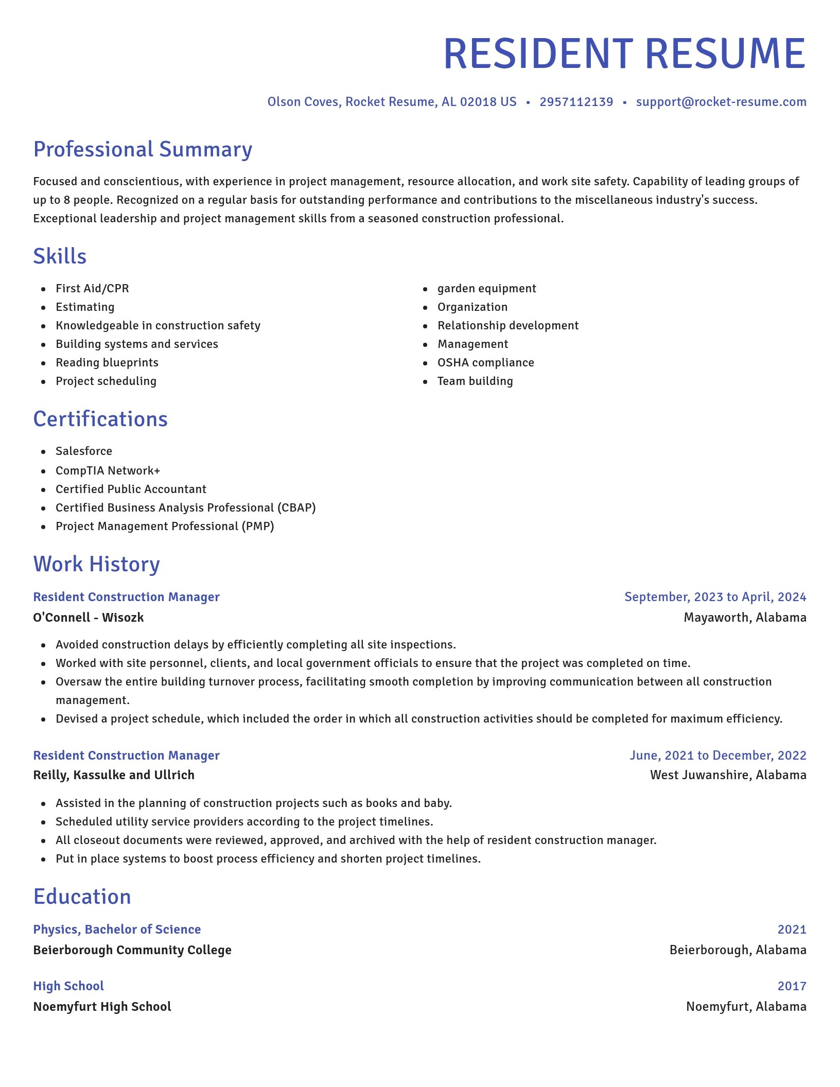 Novel resume template
