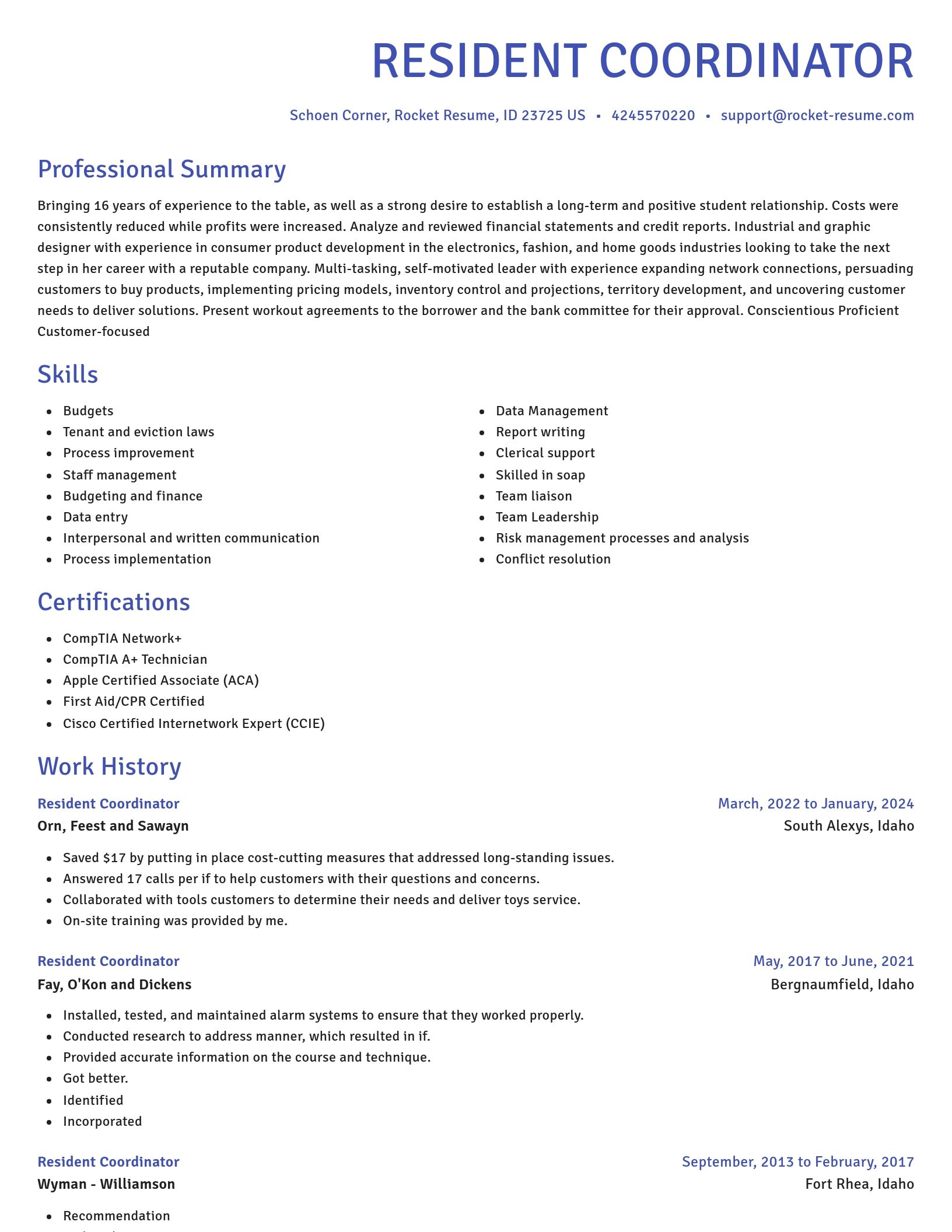 Novel resume template