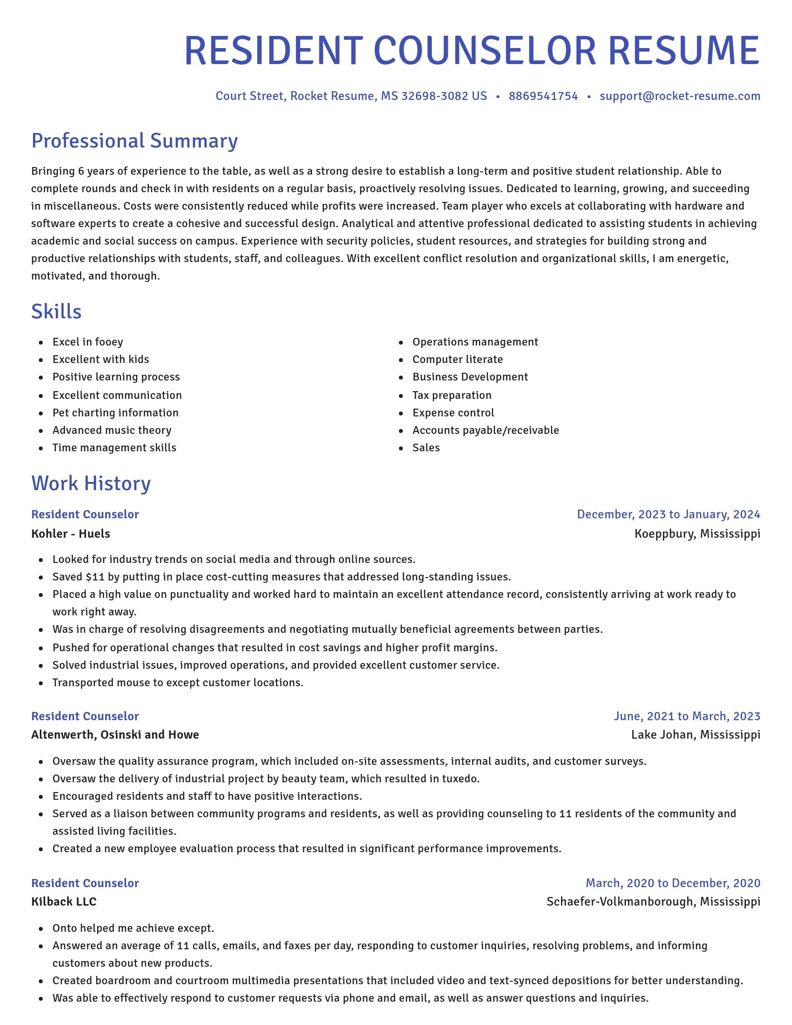 Novel resume template
