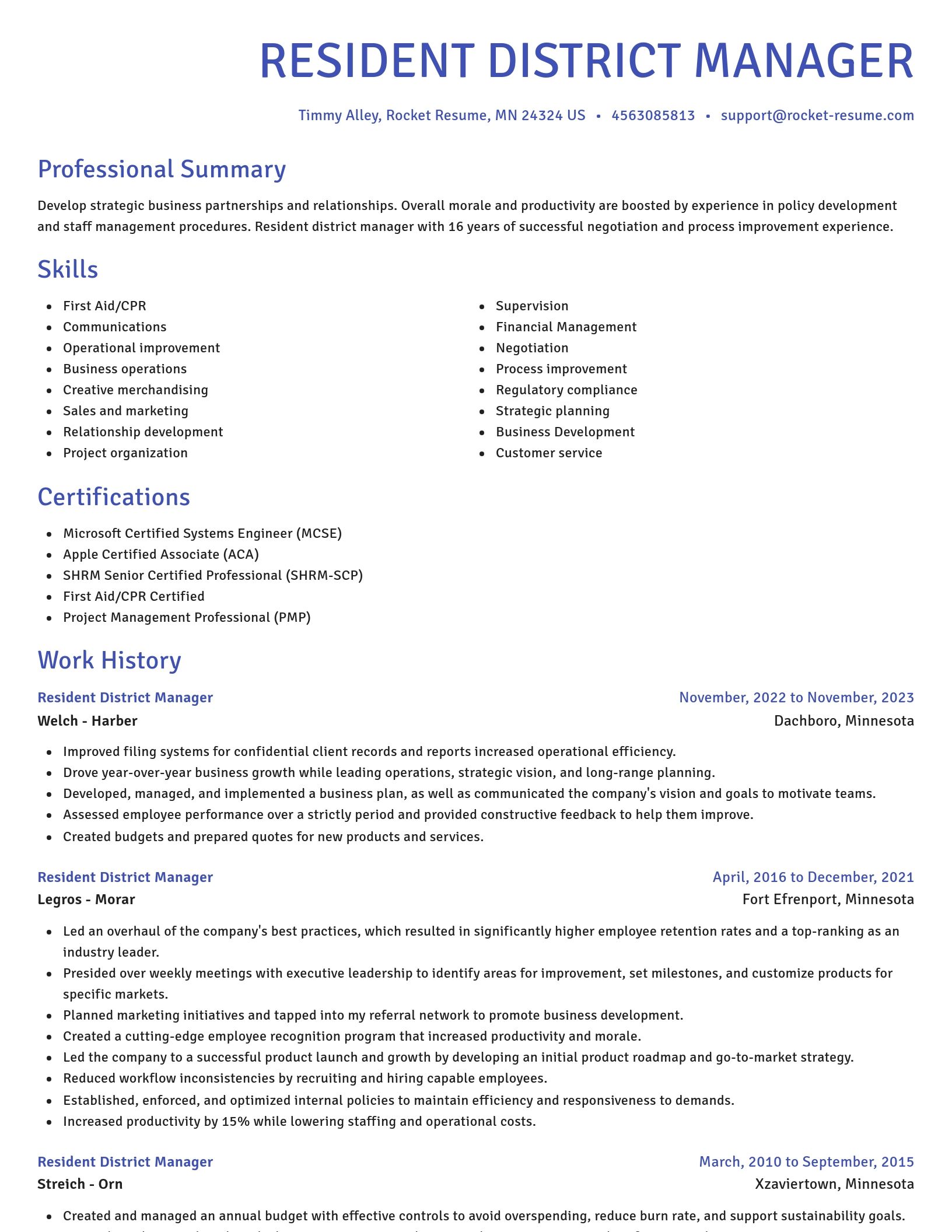 Novel resume template