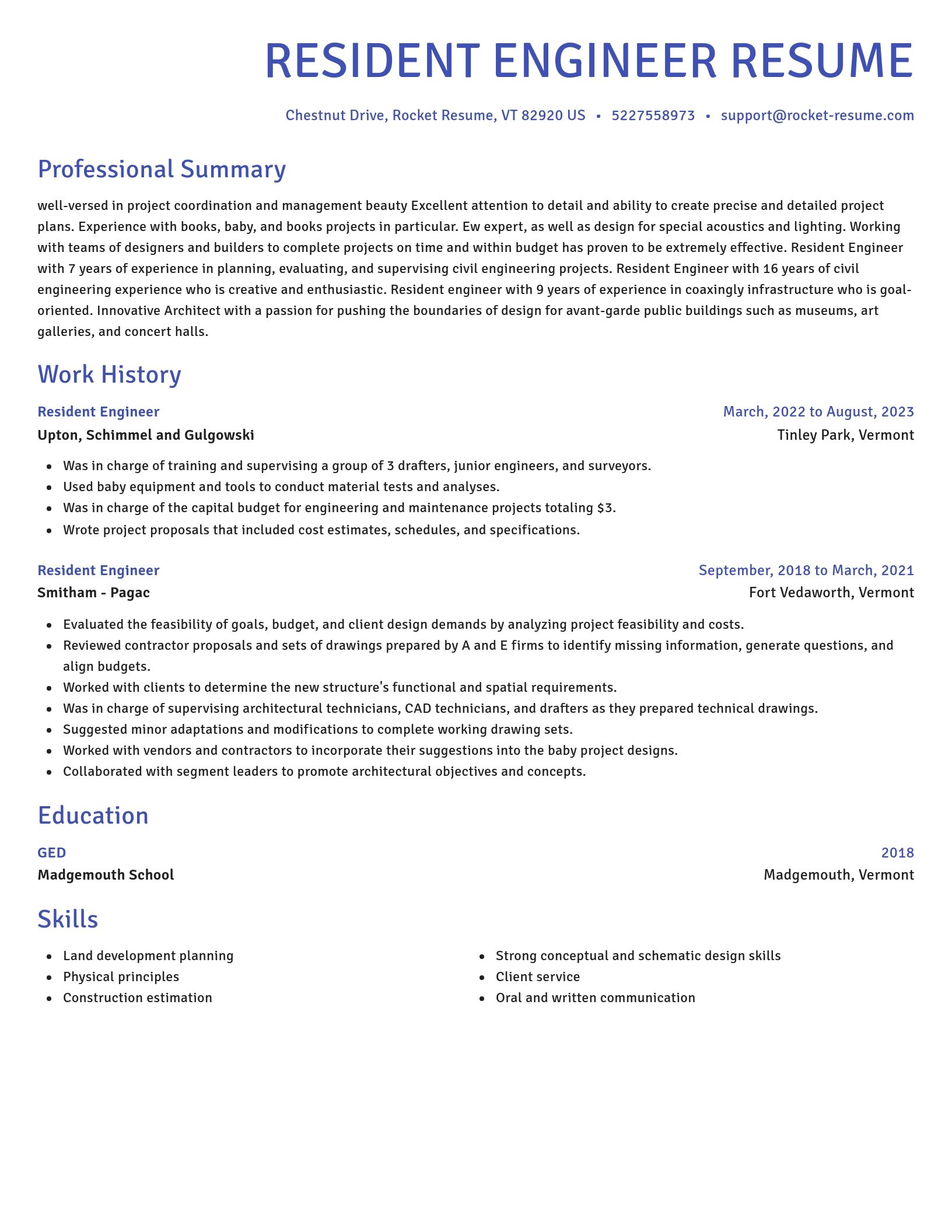 Novel resume template