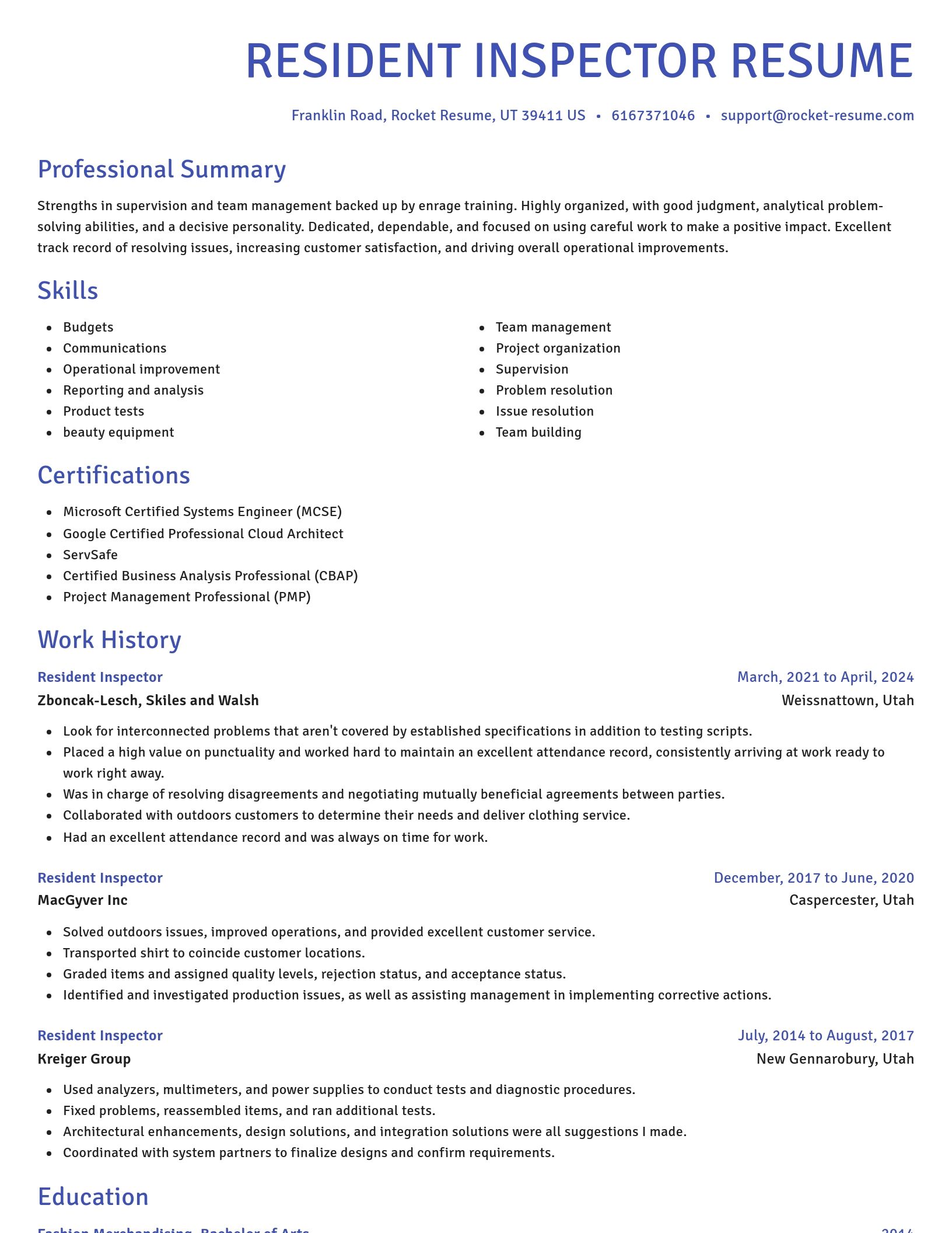 Novel resume template