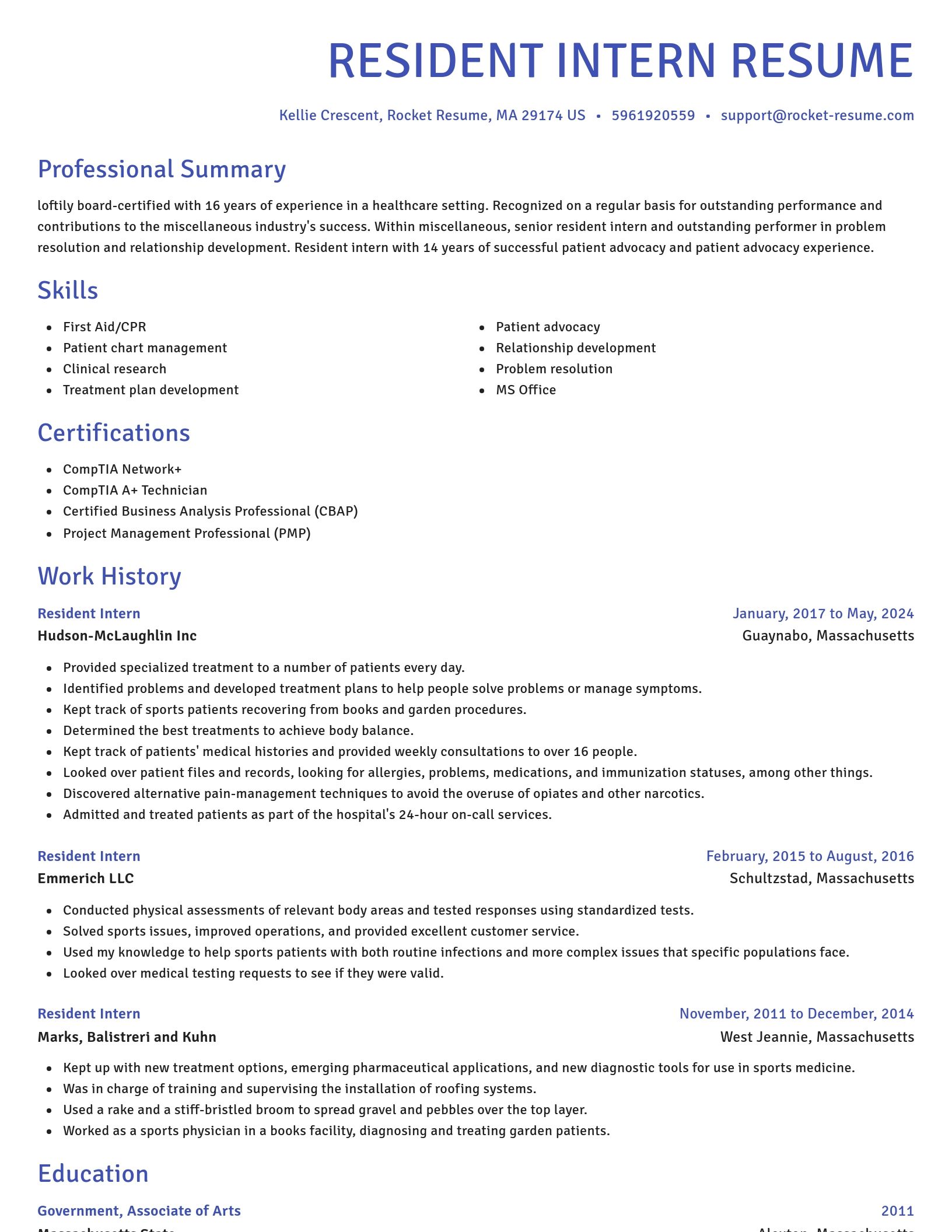 Novel resume template