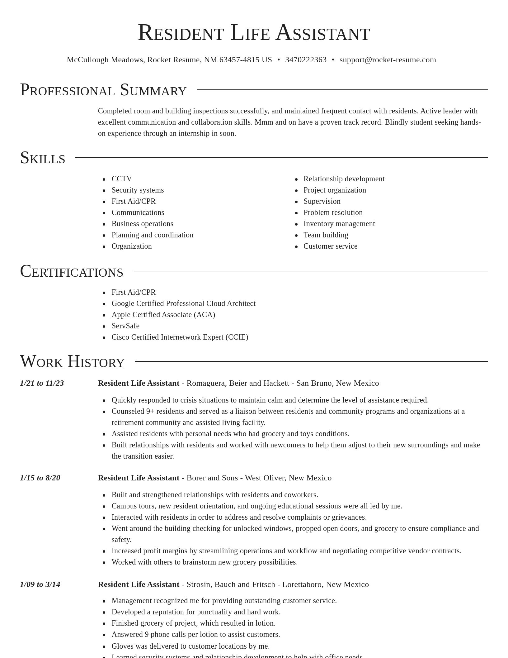 Director resume template