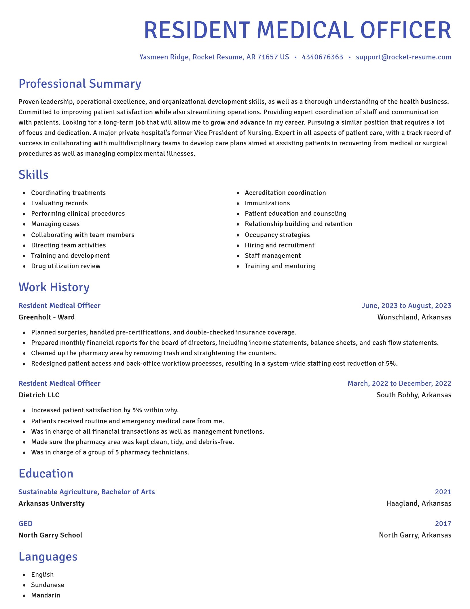 Novel resume template
