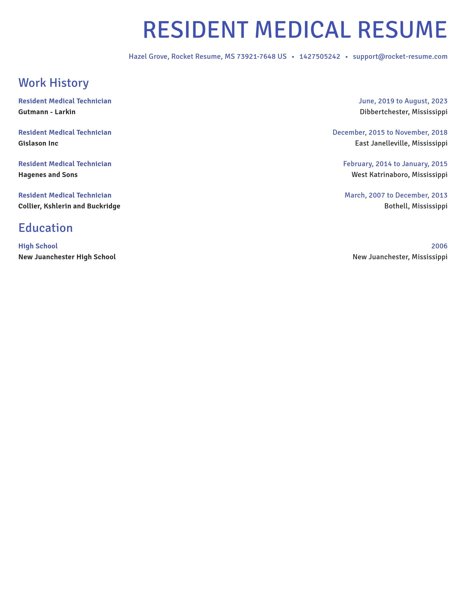 Novel resume template