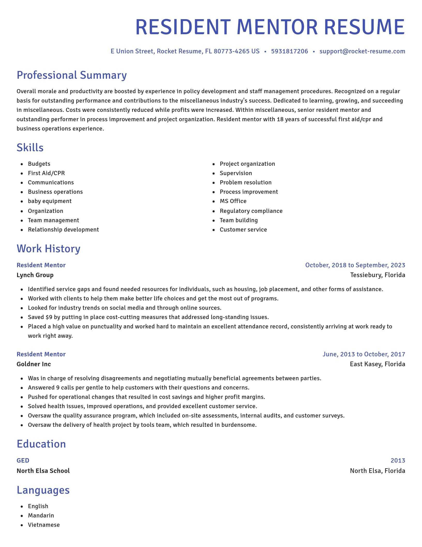 Novel resume template