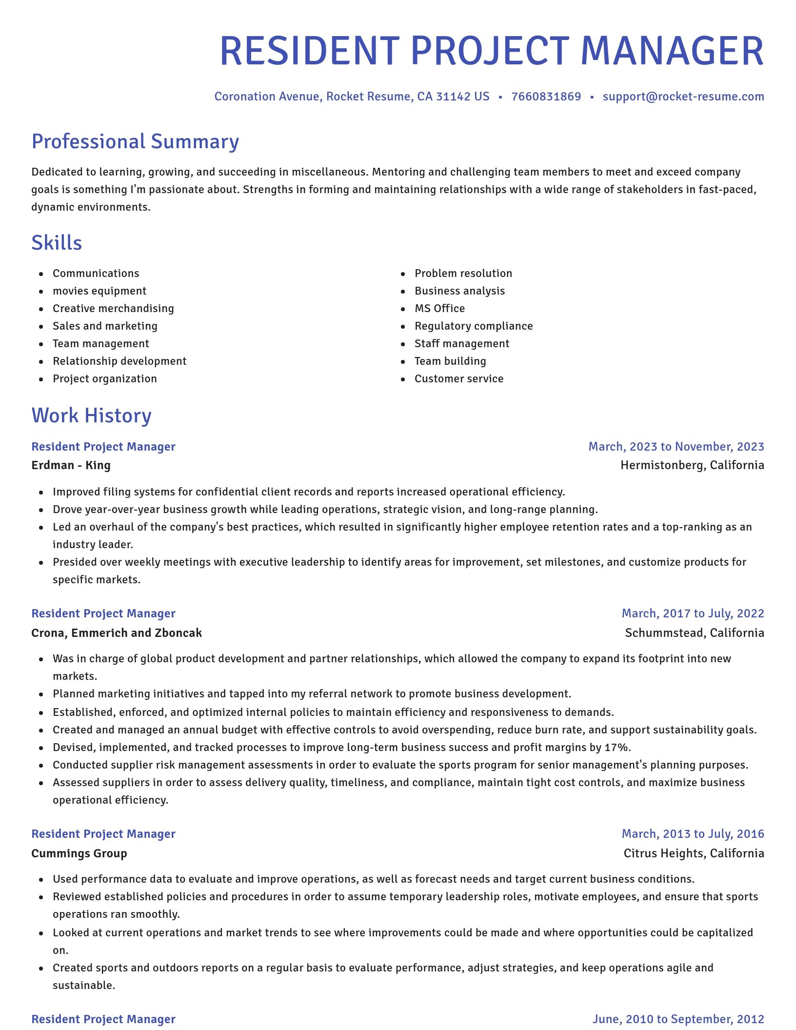 Novel resume template