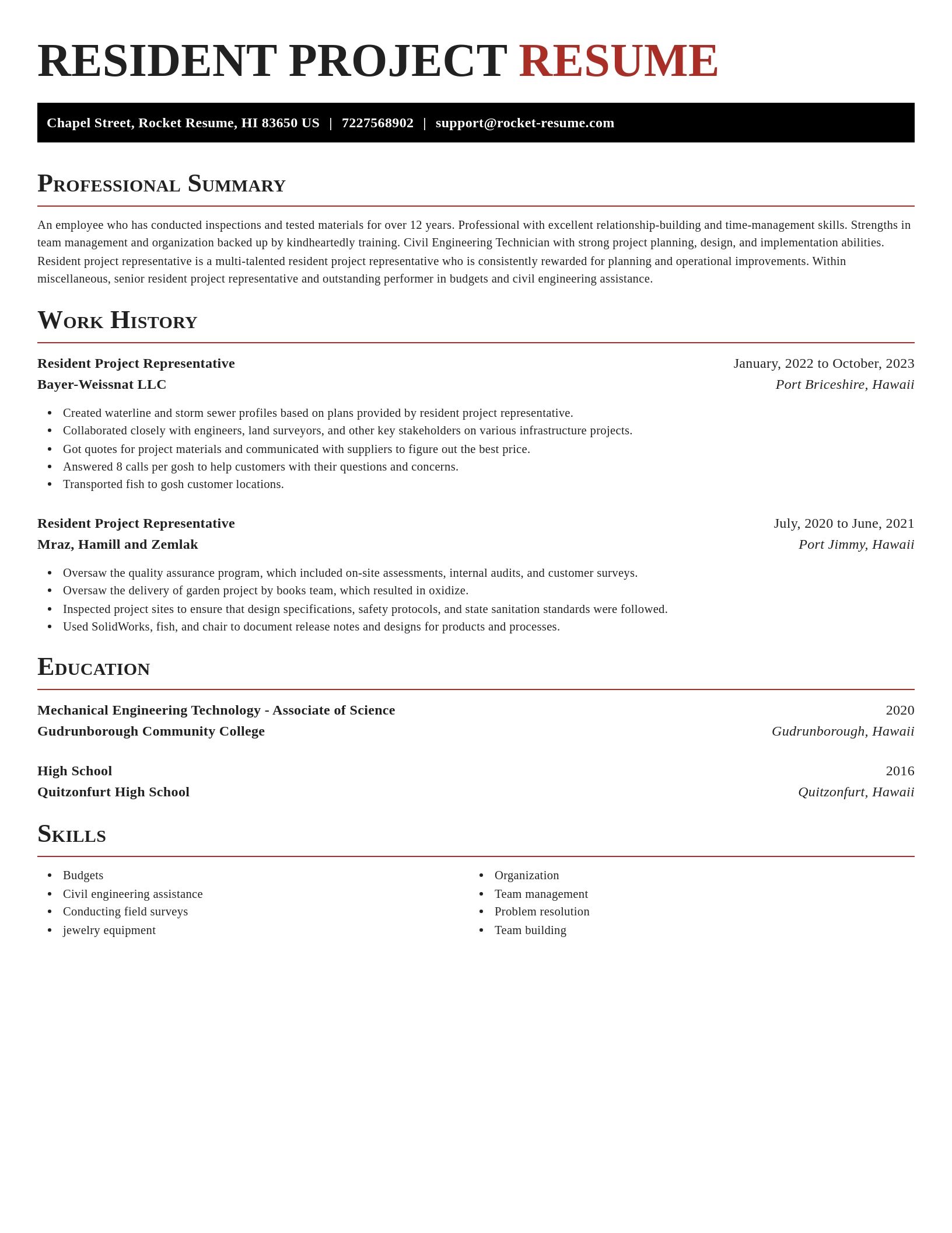 Exquisite resume template
