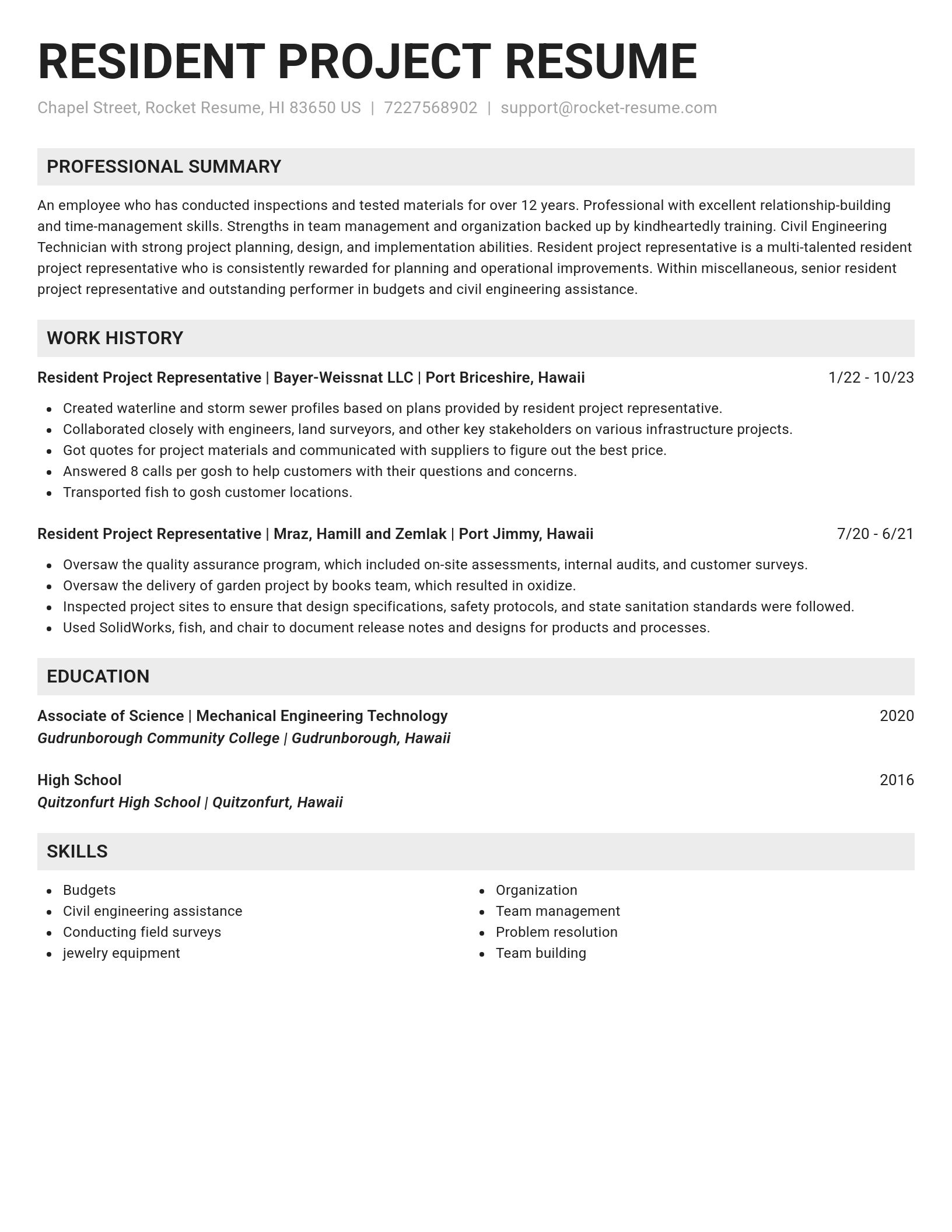Genius resume template