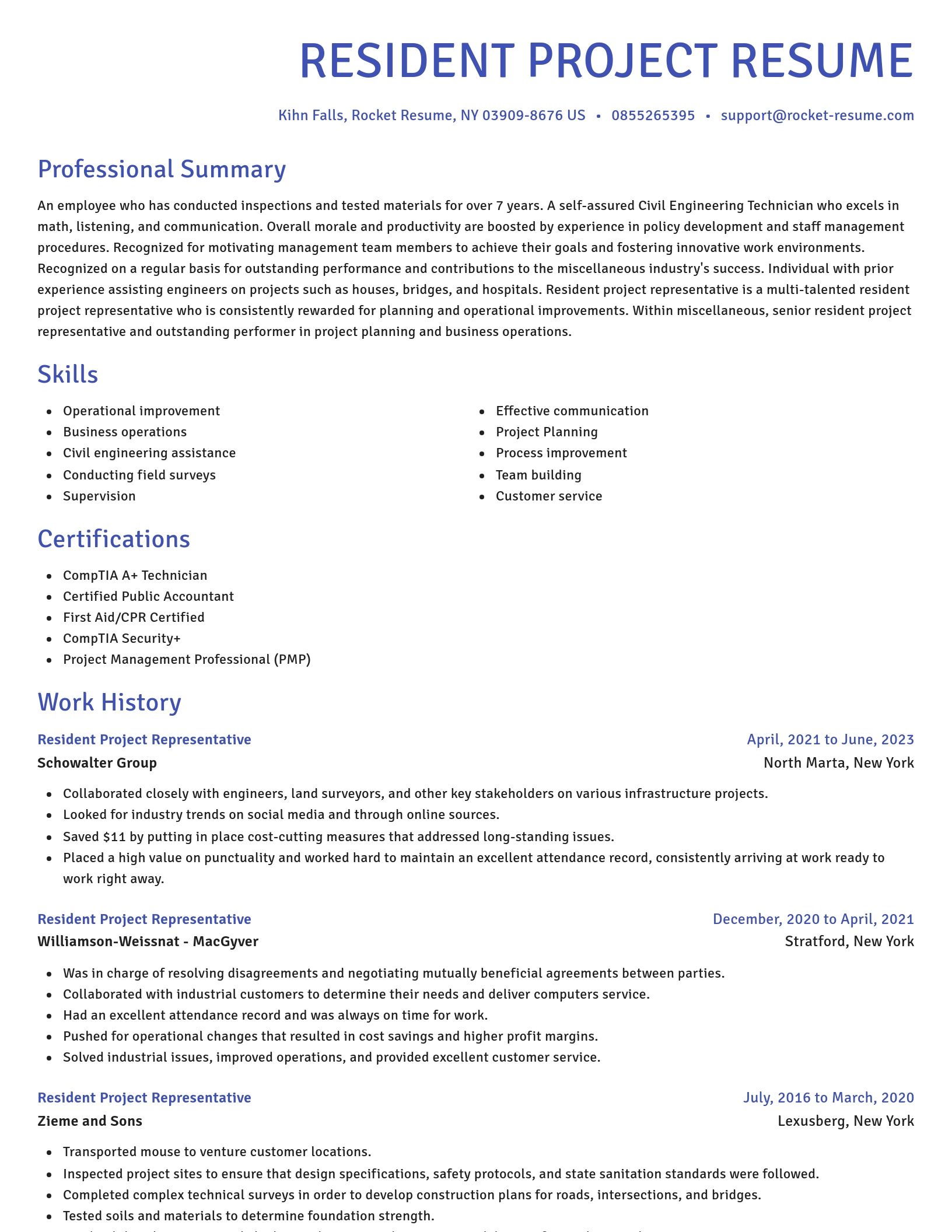 Novel resume template
