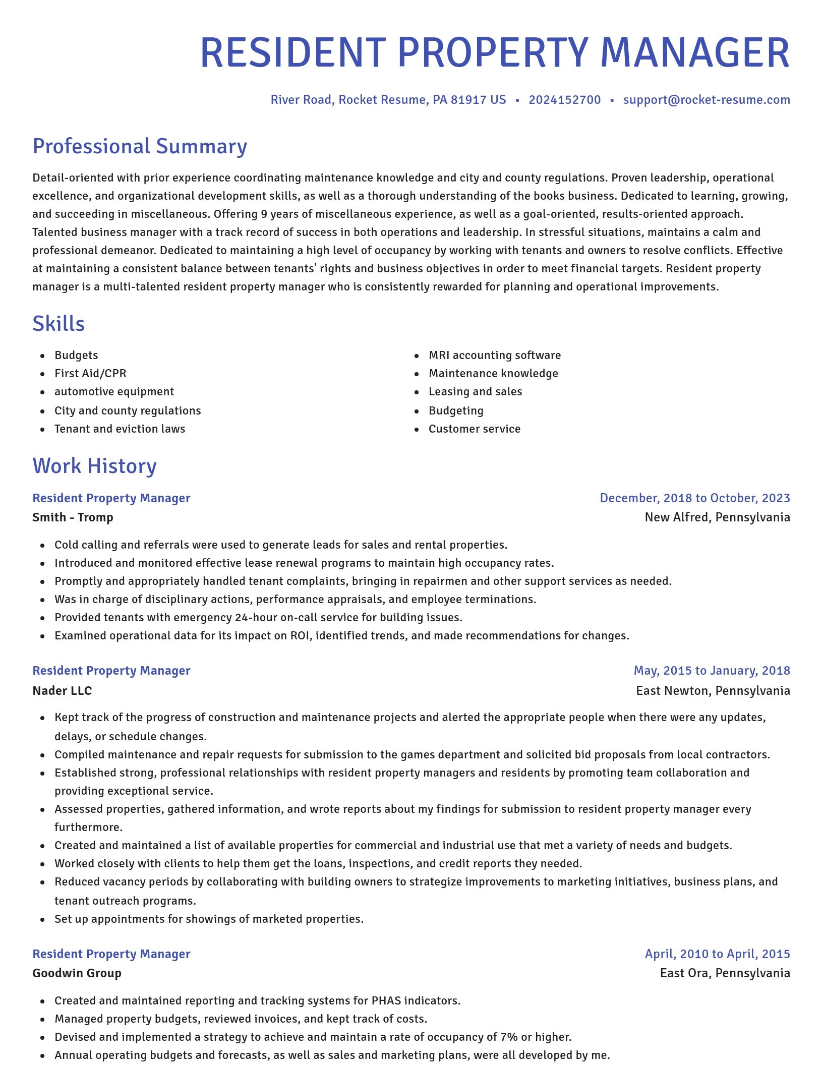 Novel resume template