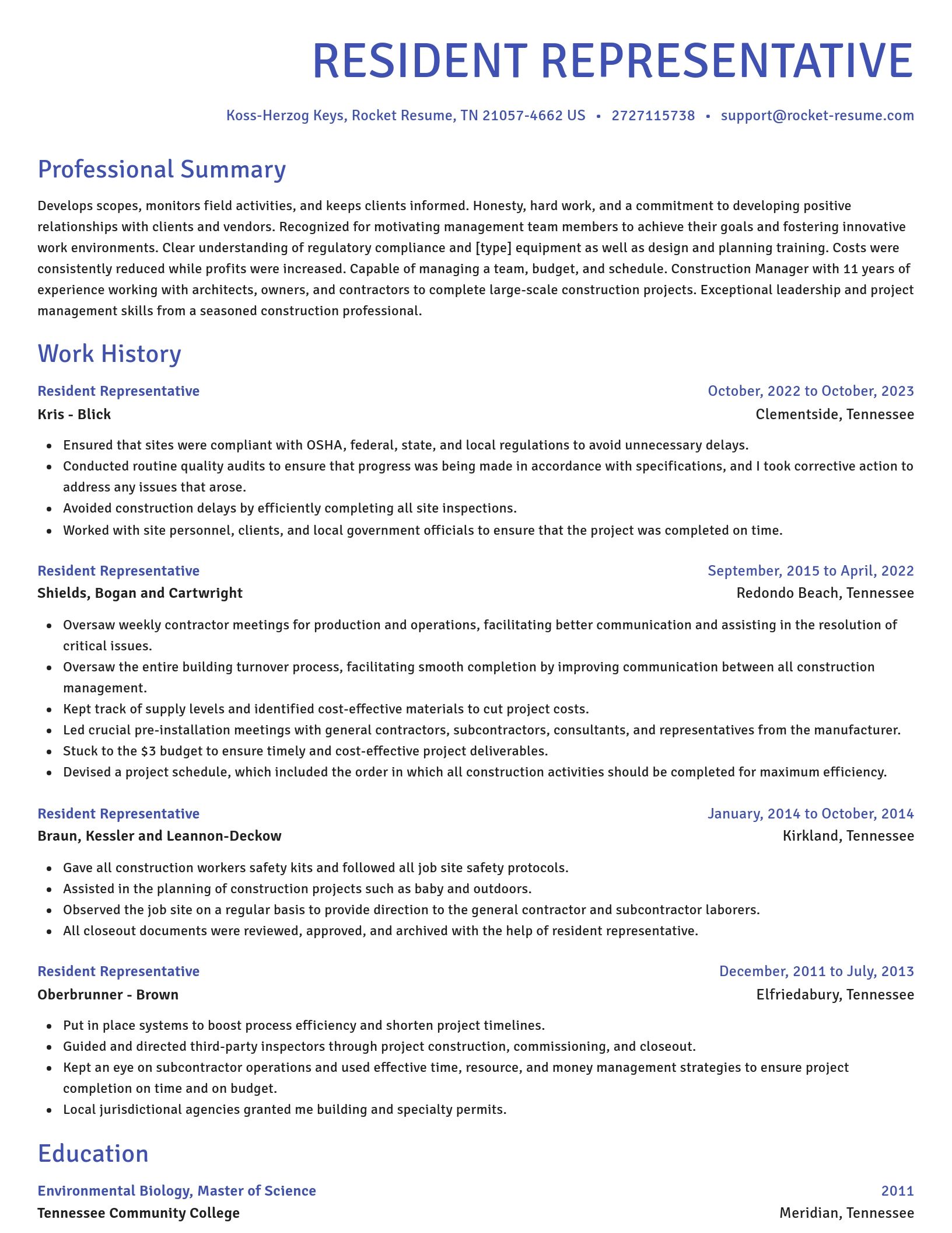 Novel resume template
