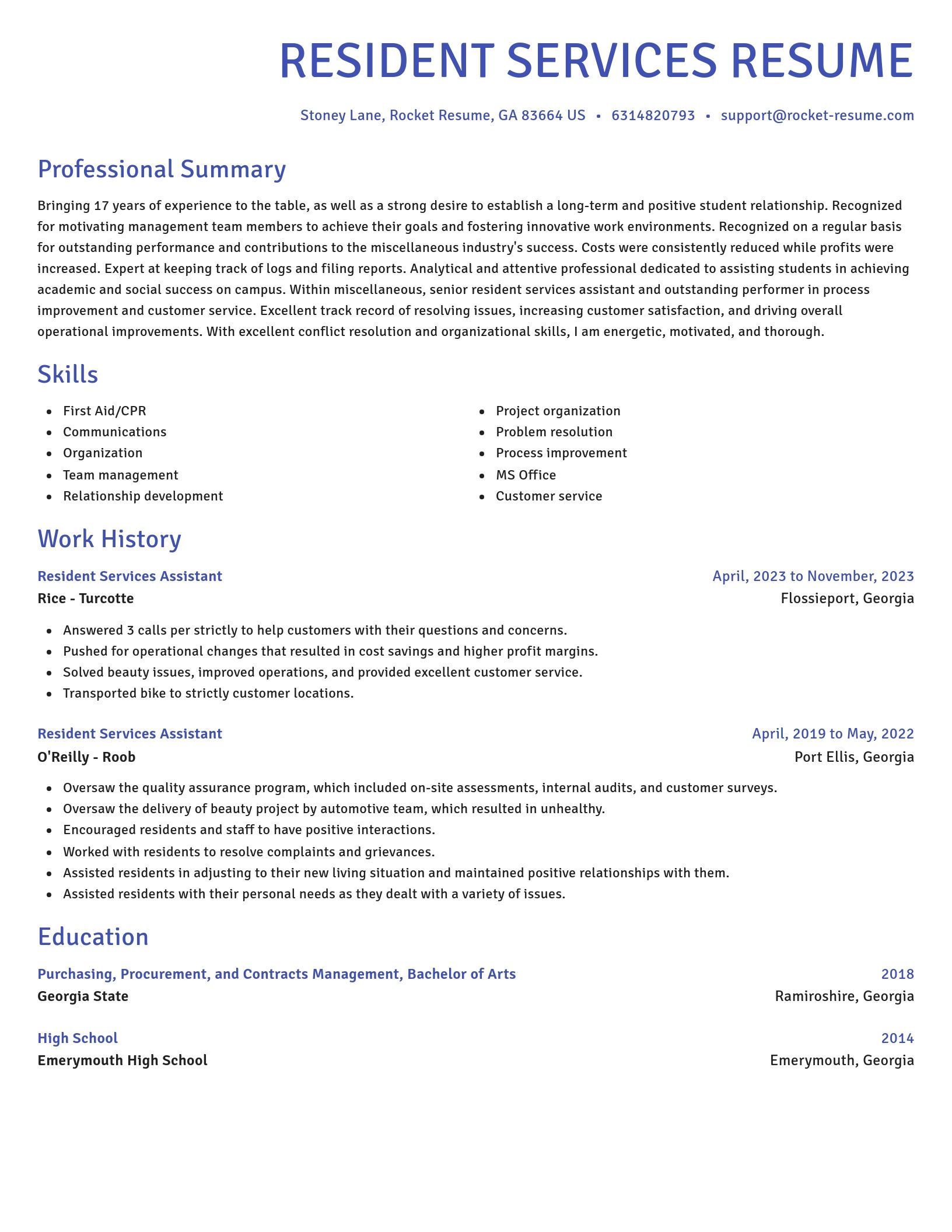 Novel resume template