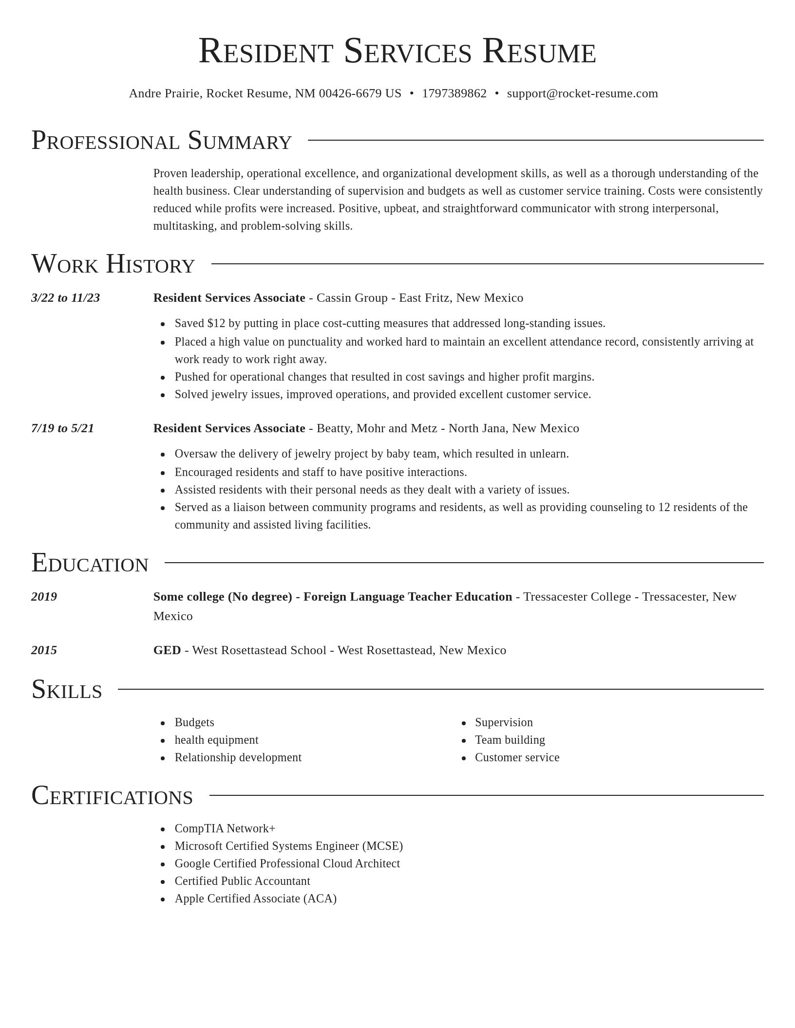 Director resume template