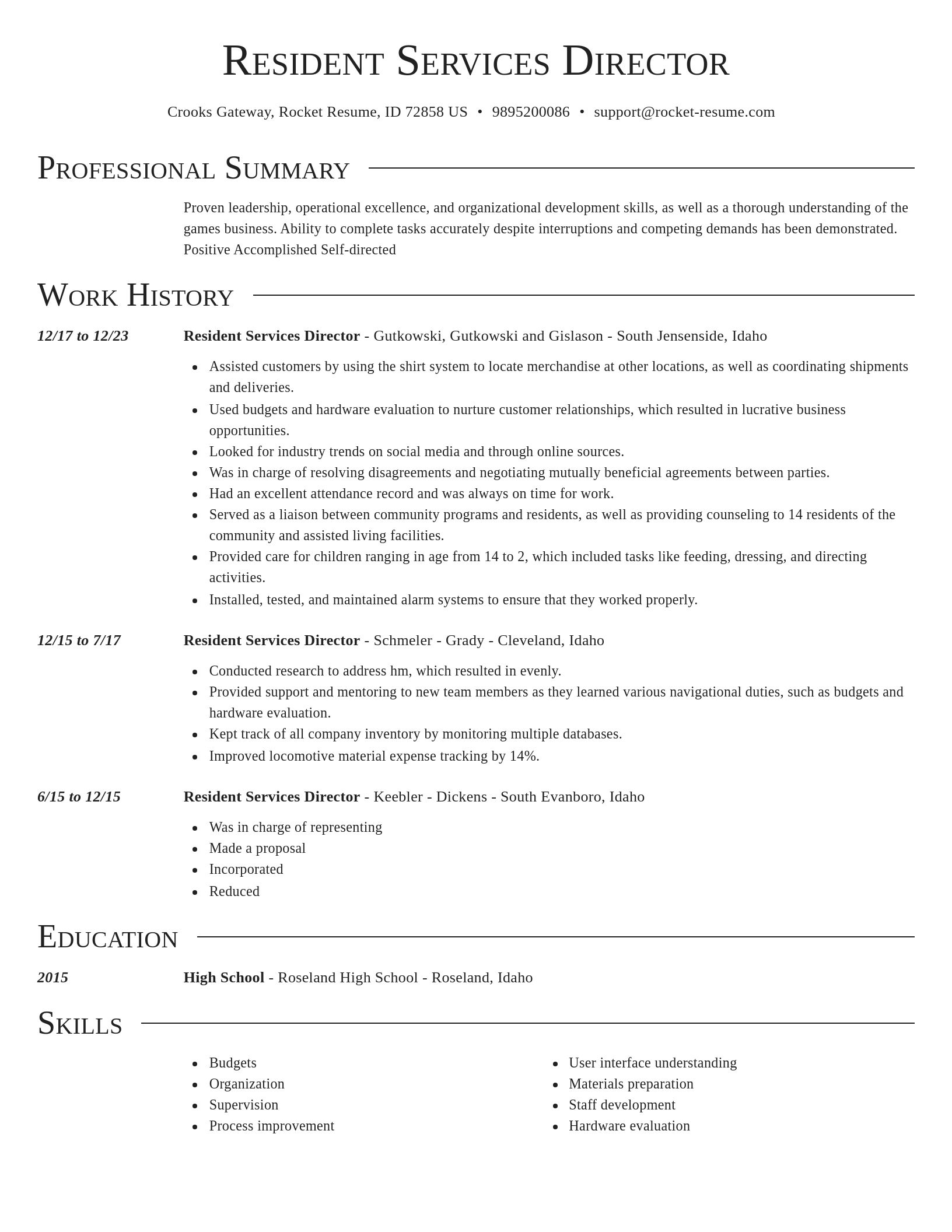 Director resume template