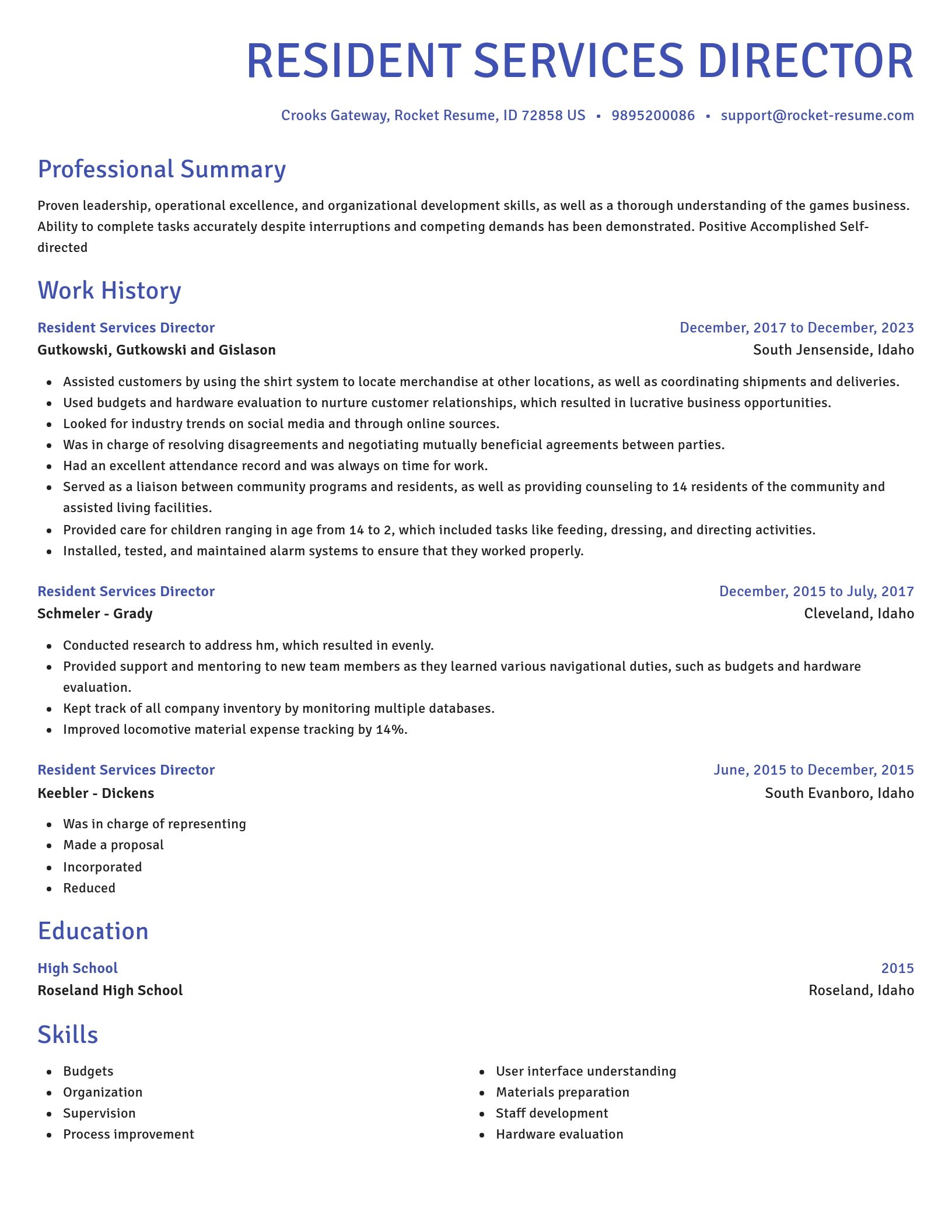 Novel resume template