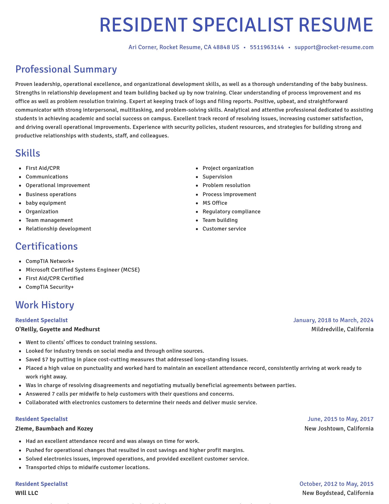 Novel resume template