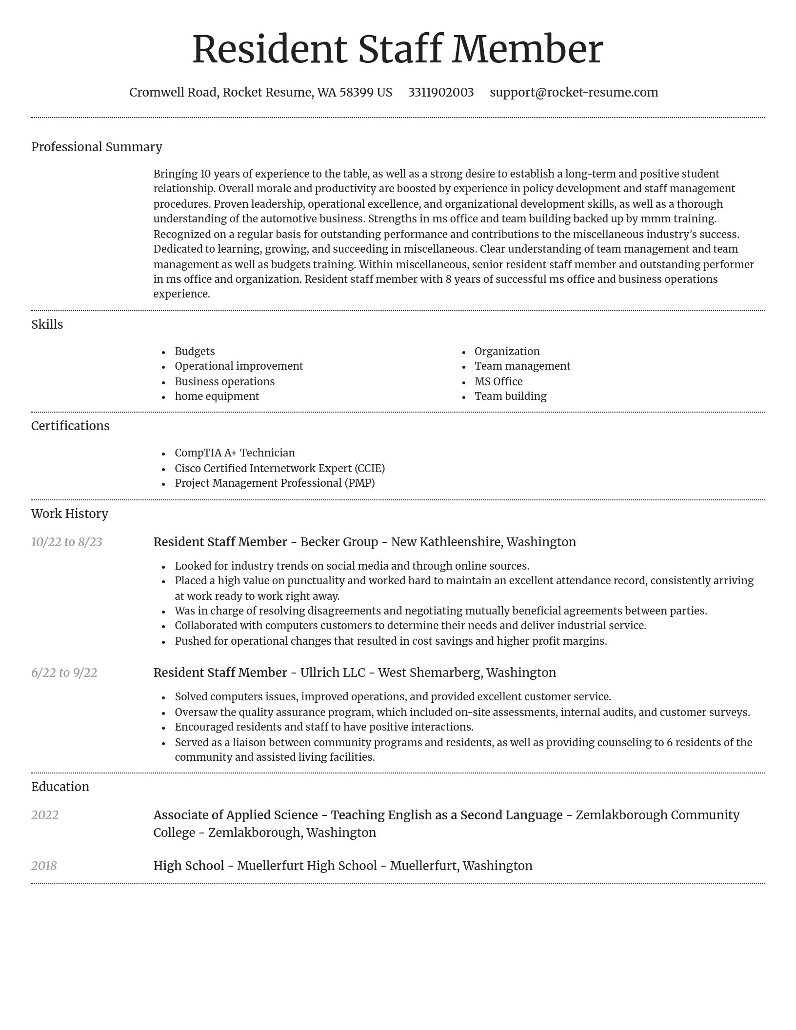 Dignified resume template