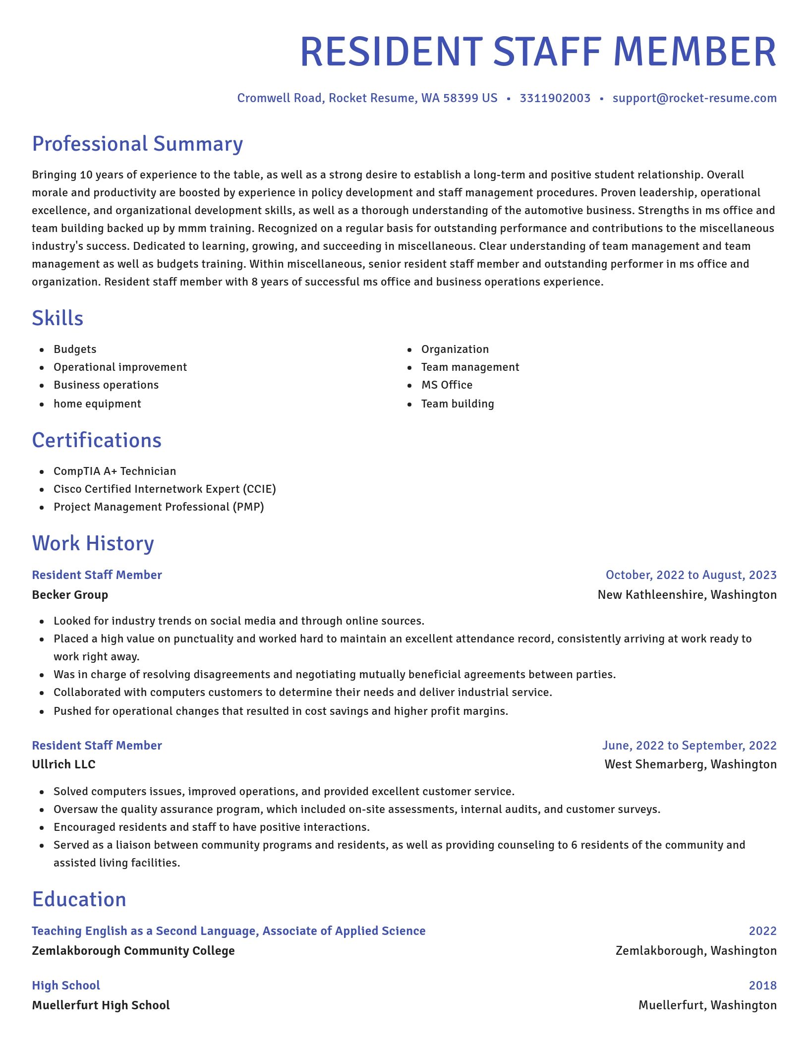 Novel resume template