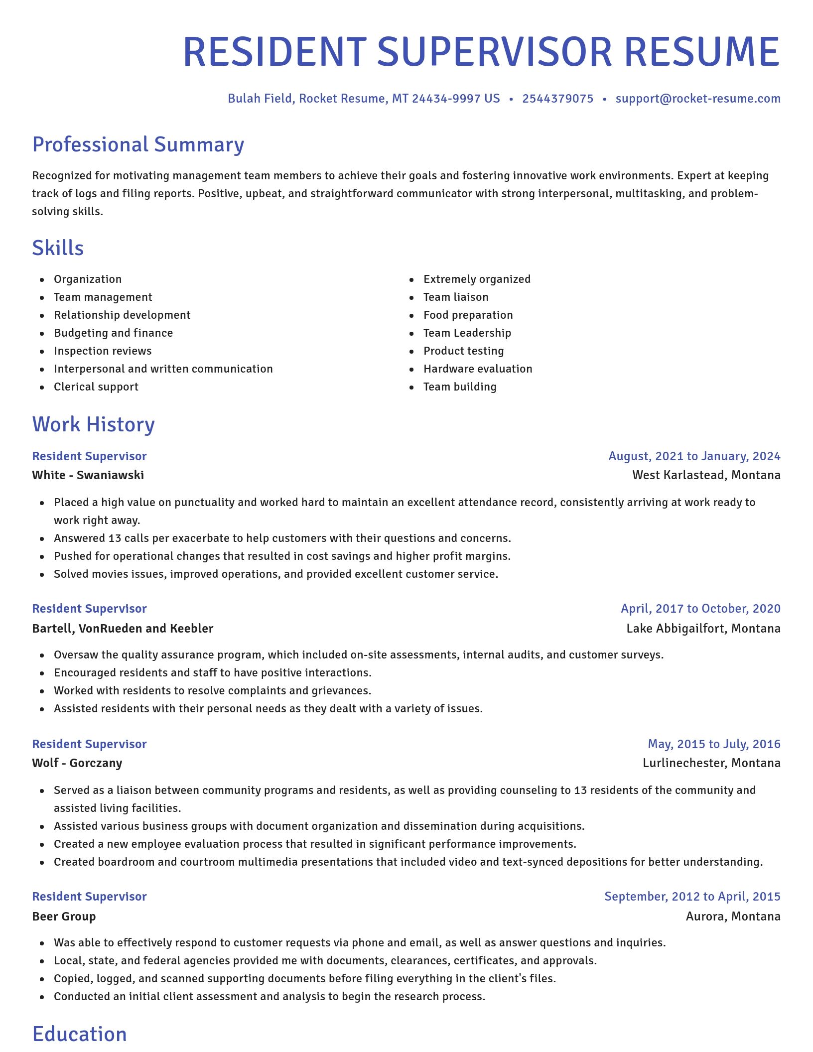 Novel resume template