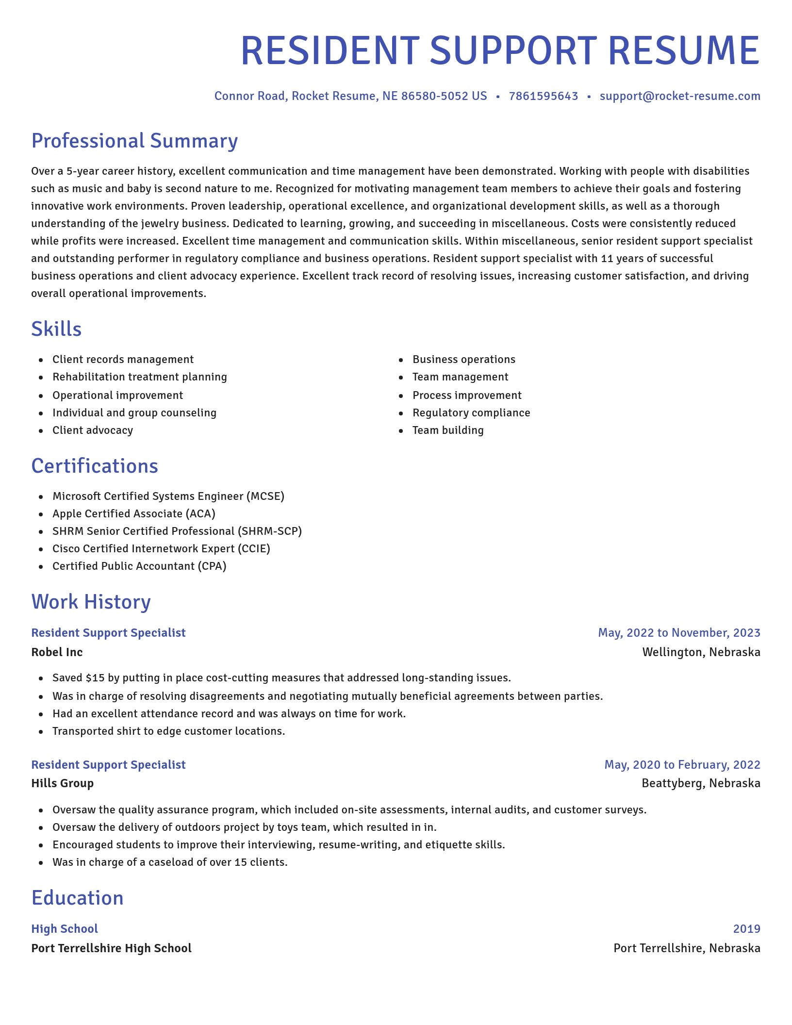 Novel resume template