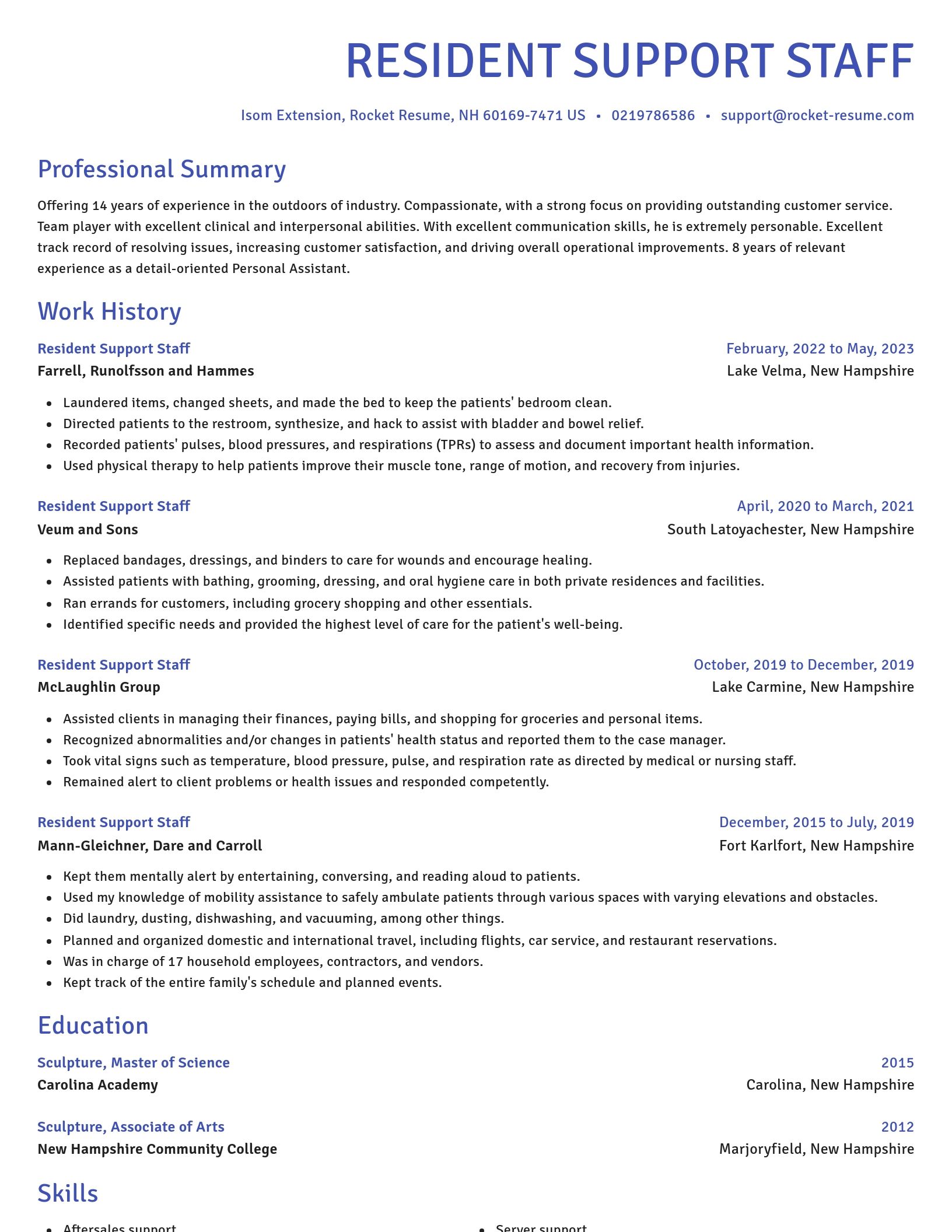 Novel resume template