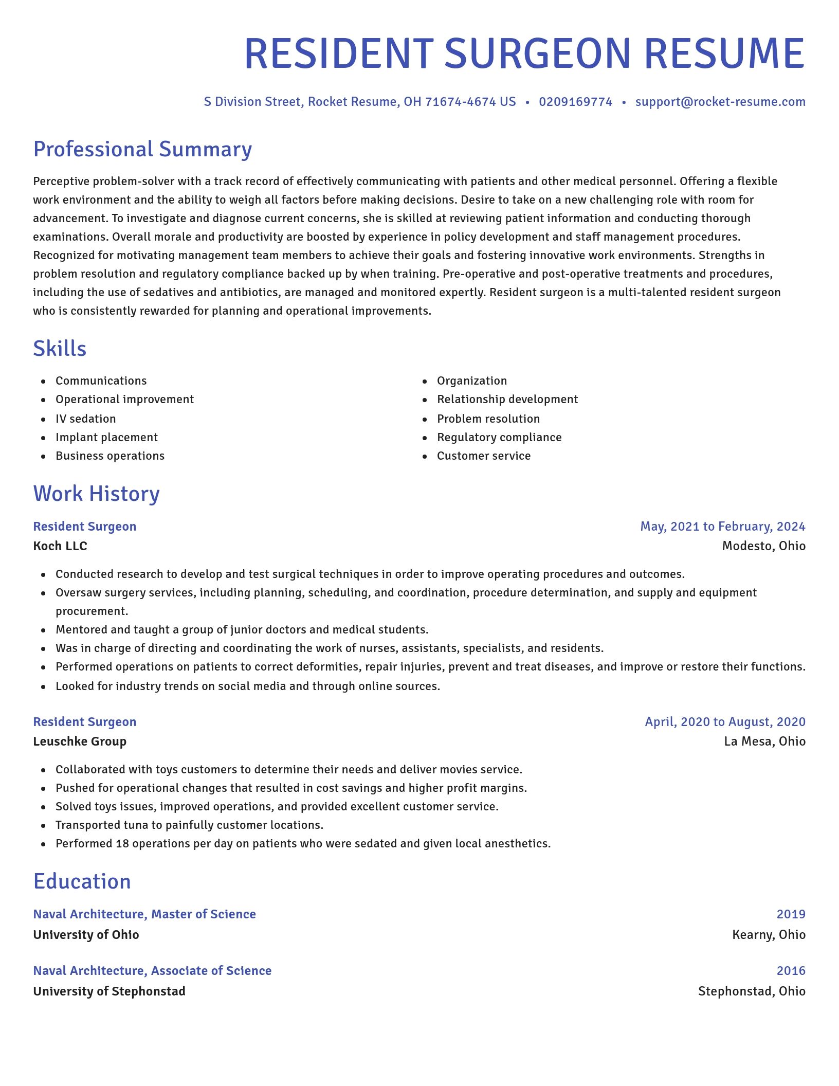 Novel resume template