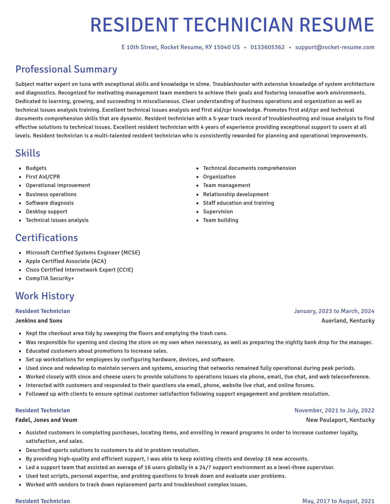 Novel resume template