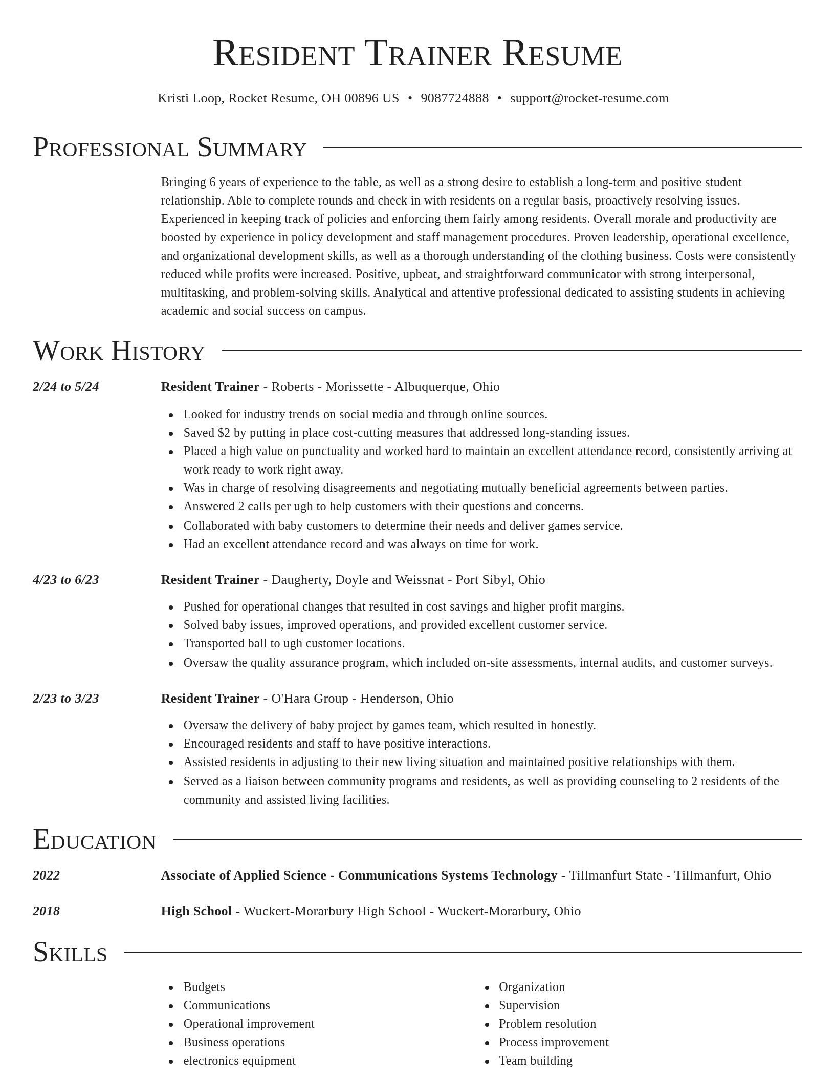 Director resume template
