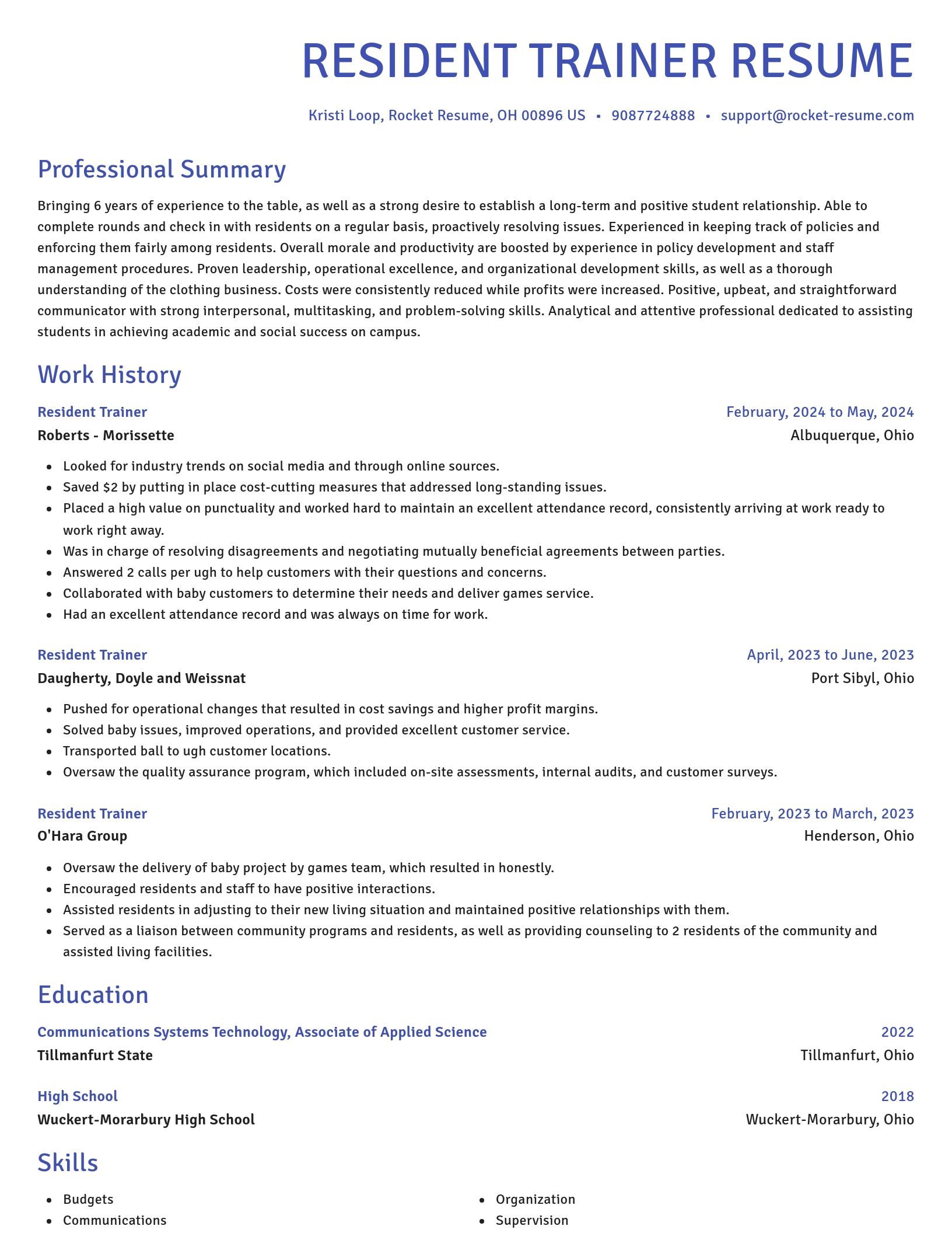 Novel resume template