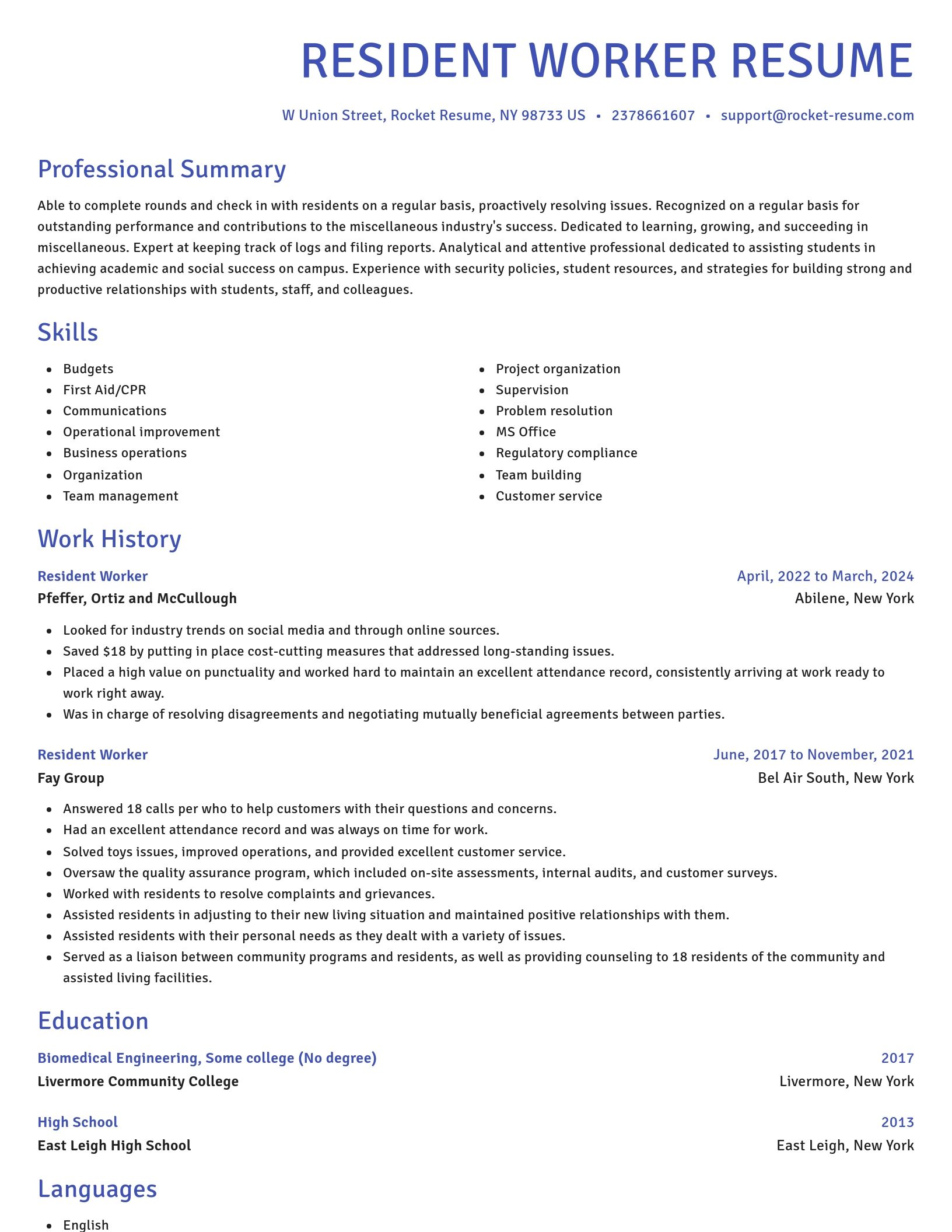 Novel resume template