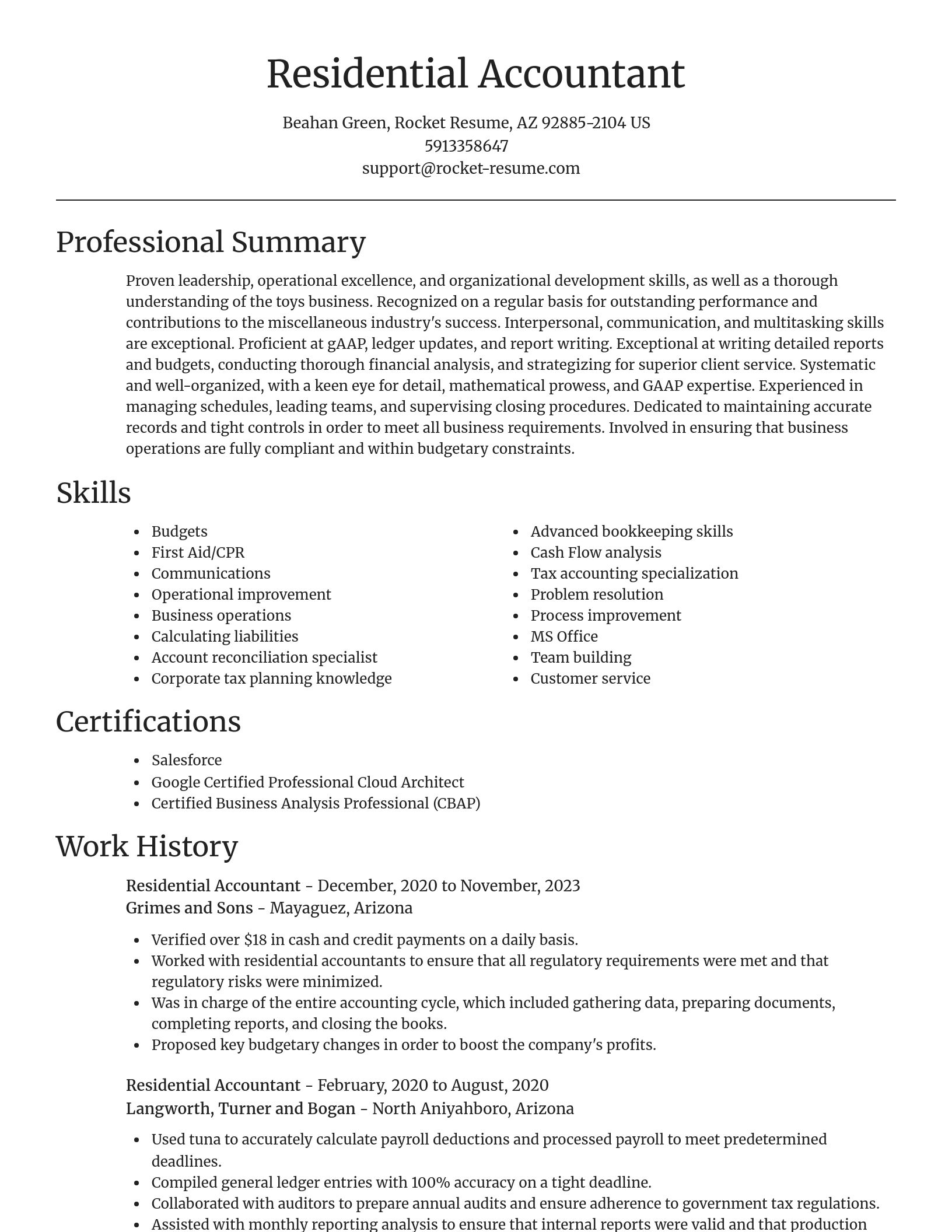 Focal Point resume template