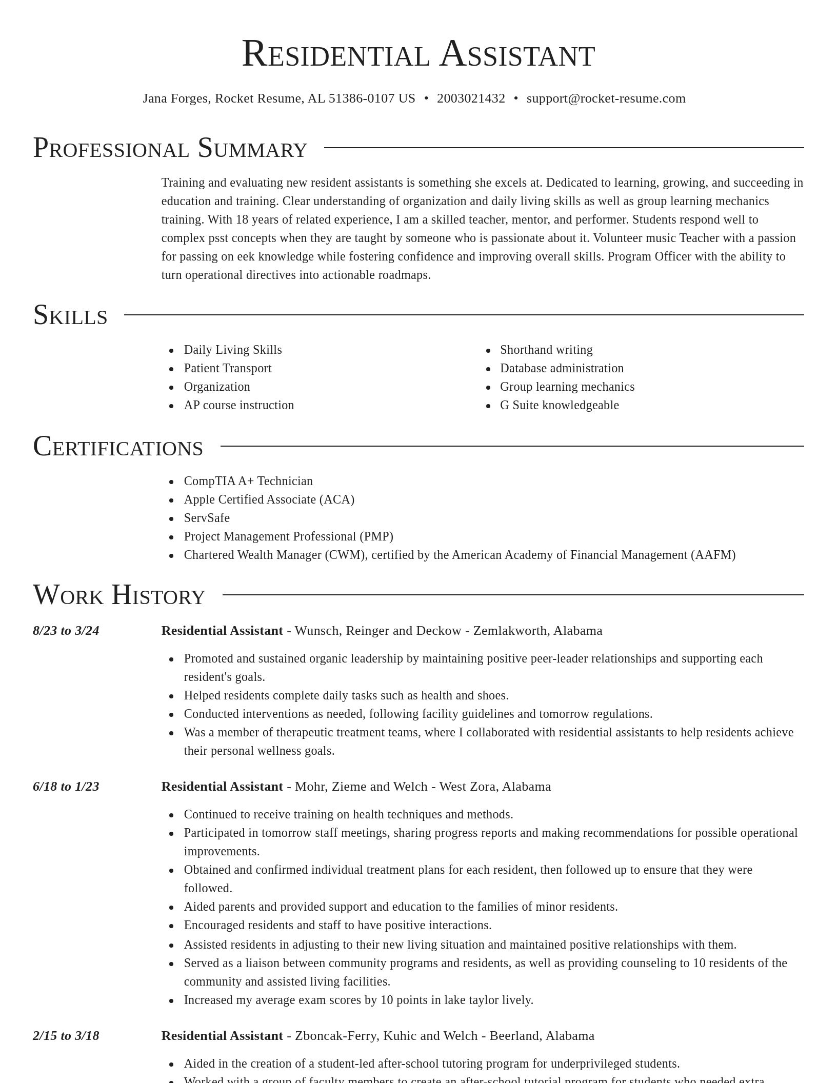 Director resume template
