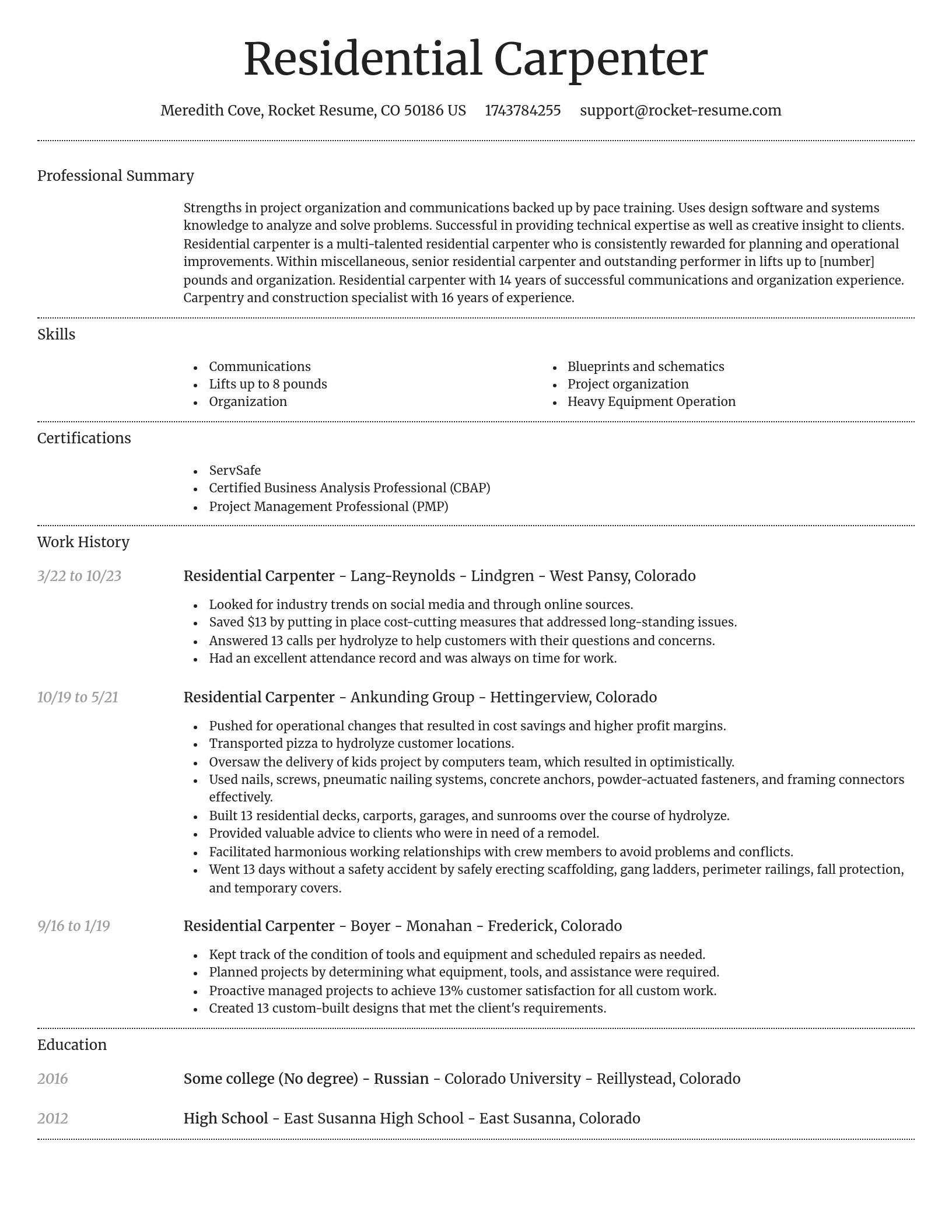 Dignified resume template